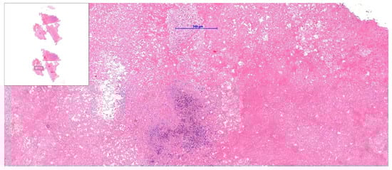 Diagnostics 15 02683 g004