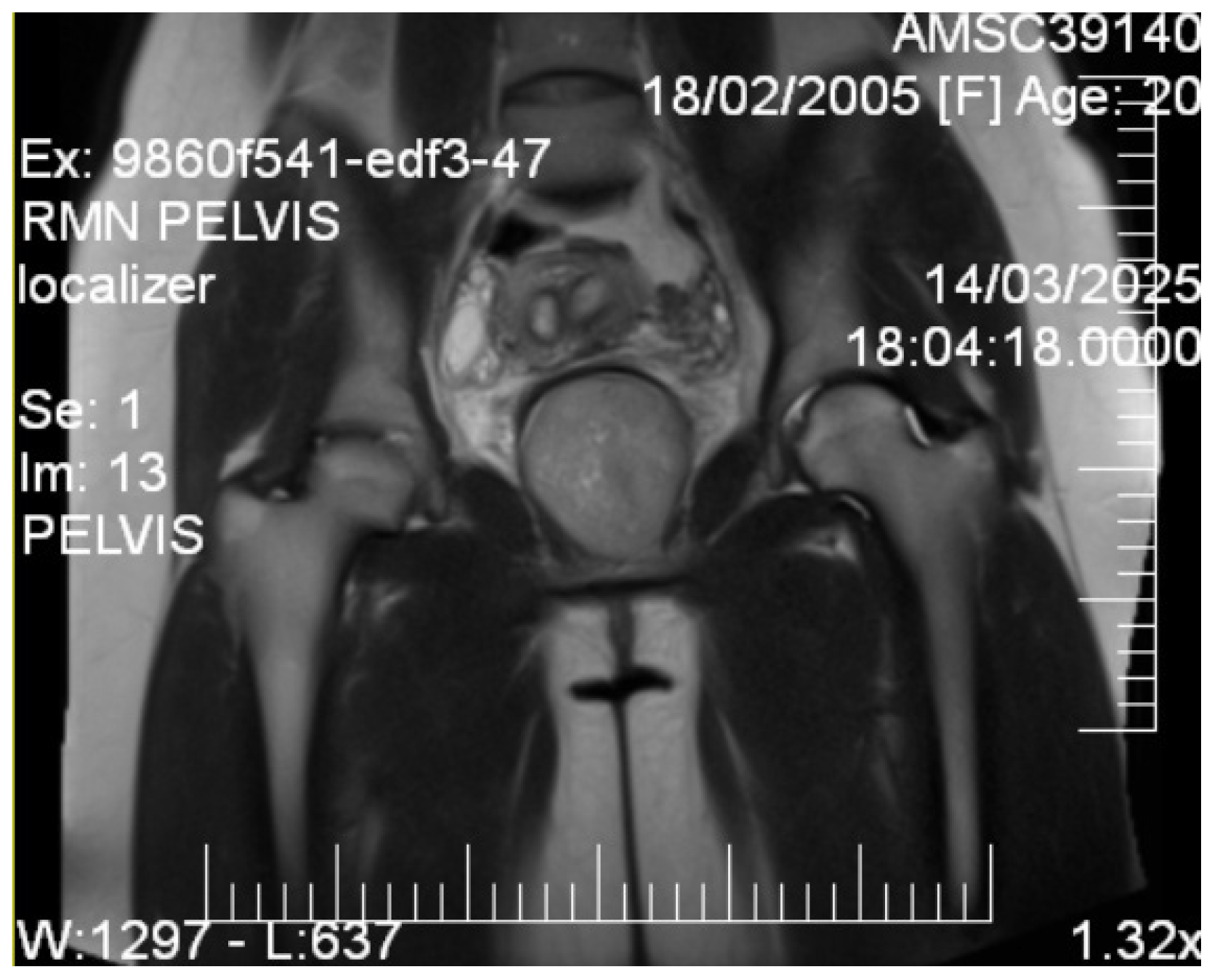 Diagnostics 15 02686 g003