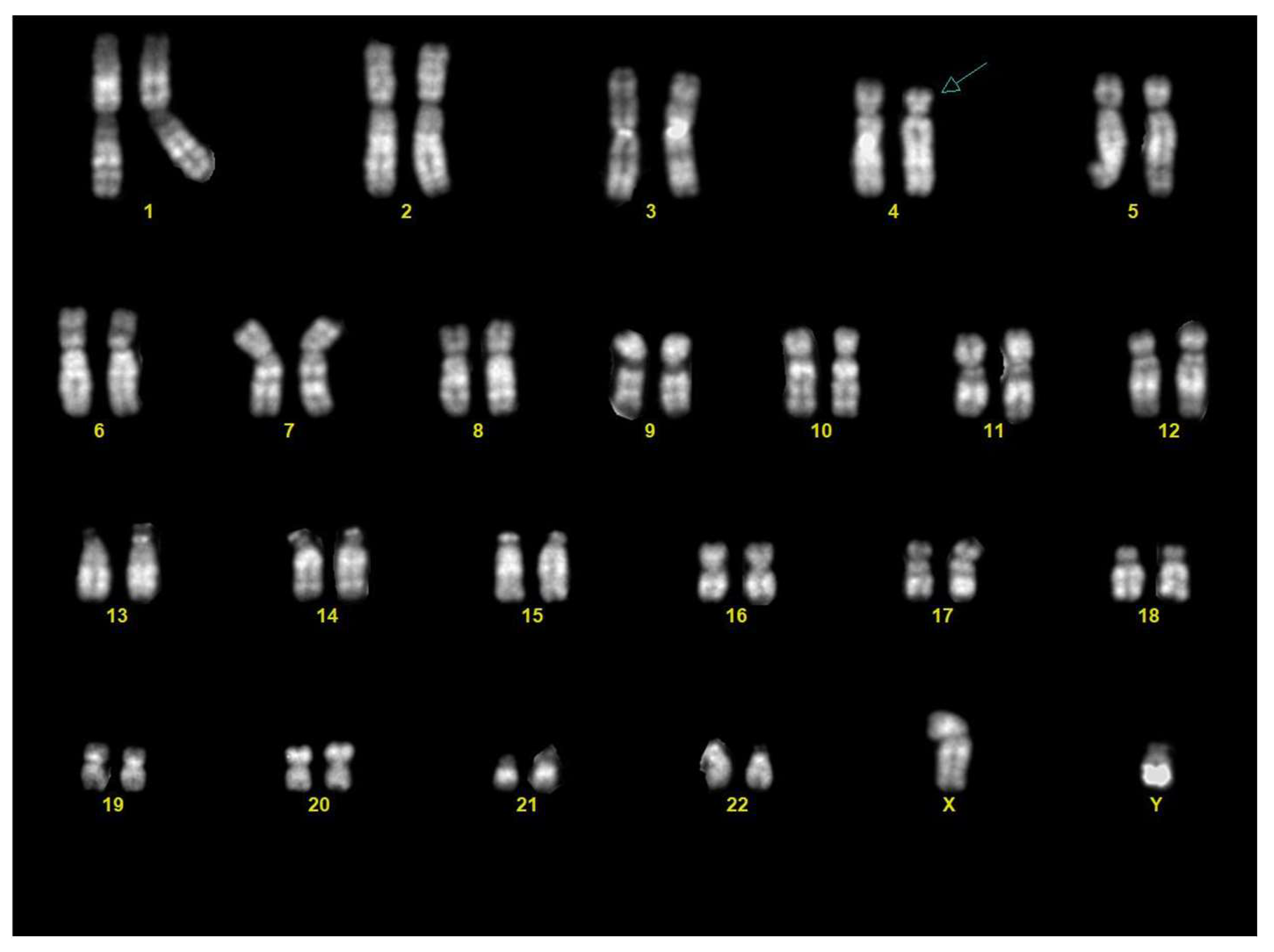 Diagnostics 15 02687 g003 Diagnostics 15 02687 g003