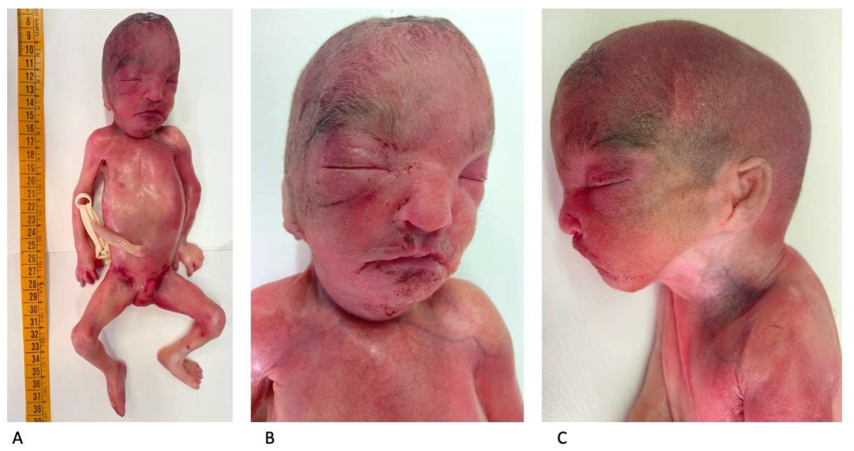 Diagnostics 15 02687 g005 Diagnostics 15 02687 g005