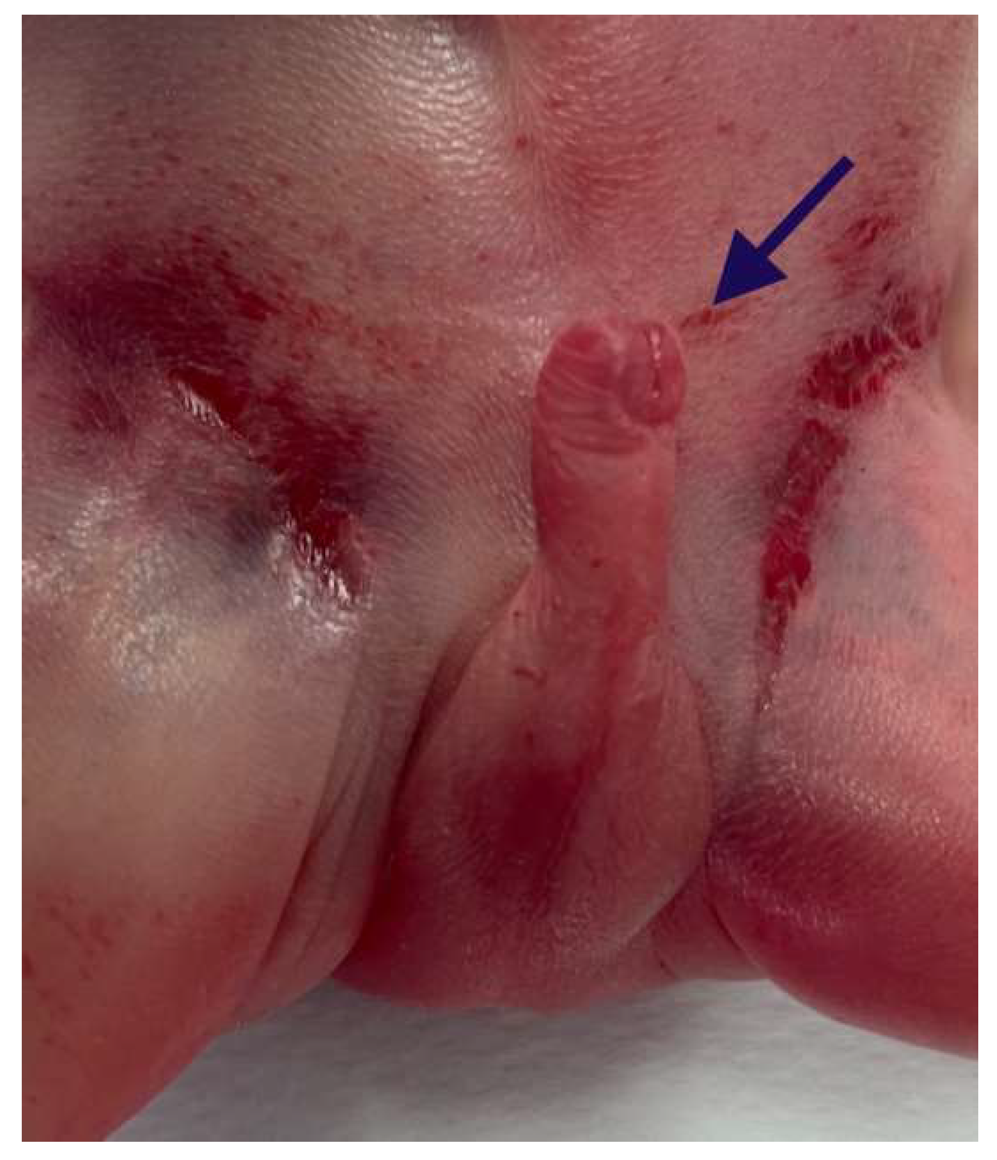 Diagnostics 15 02687 g006 Diagnostics 15 02687 g006