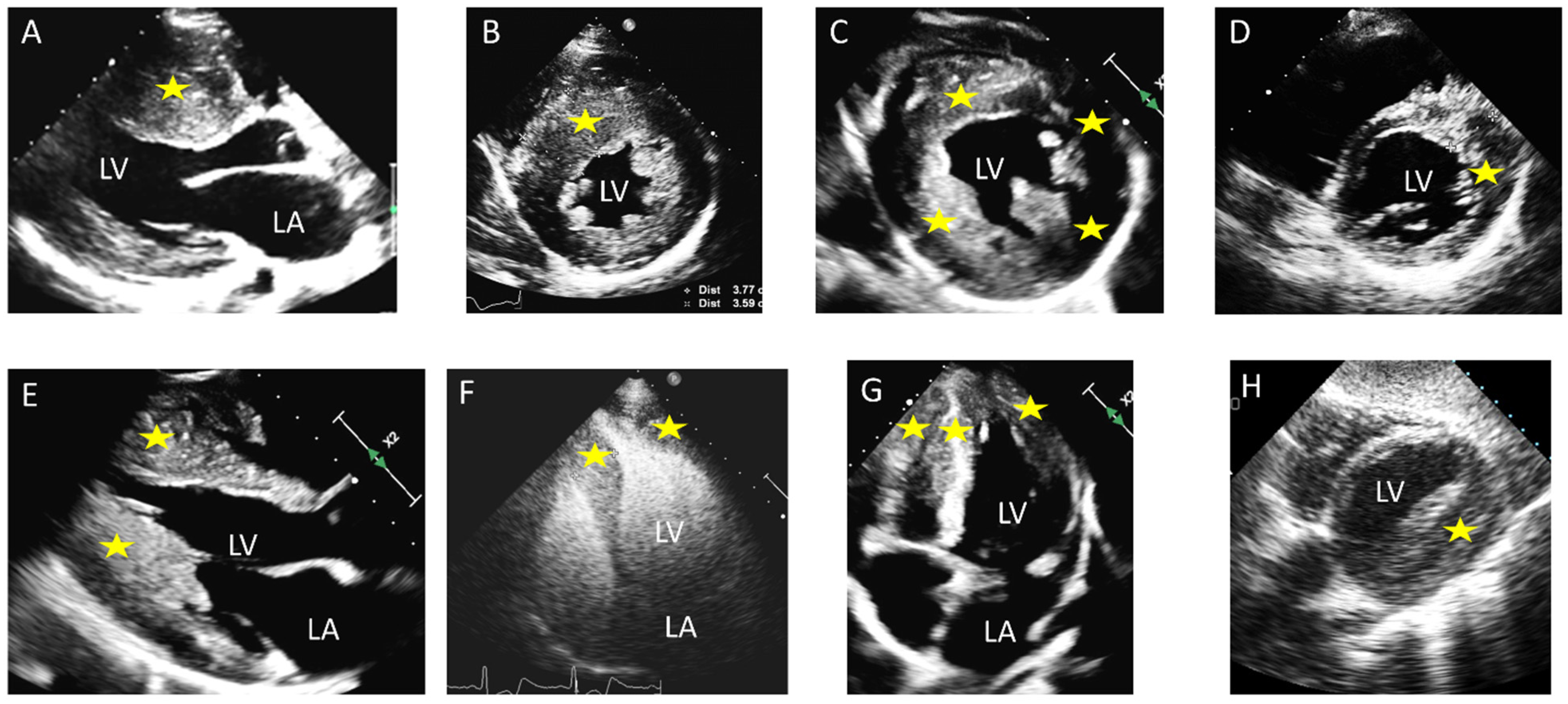 Diagnostics 15 02688 g001