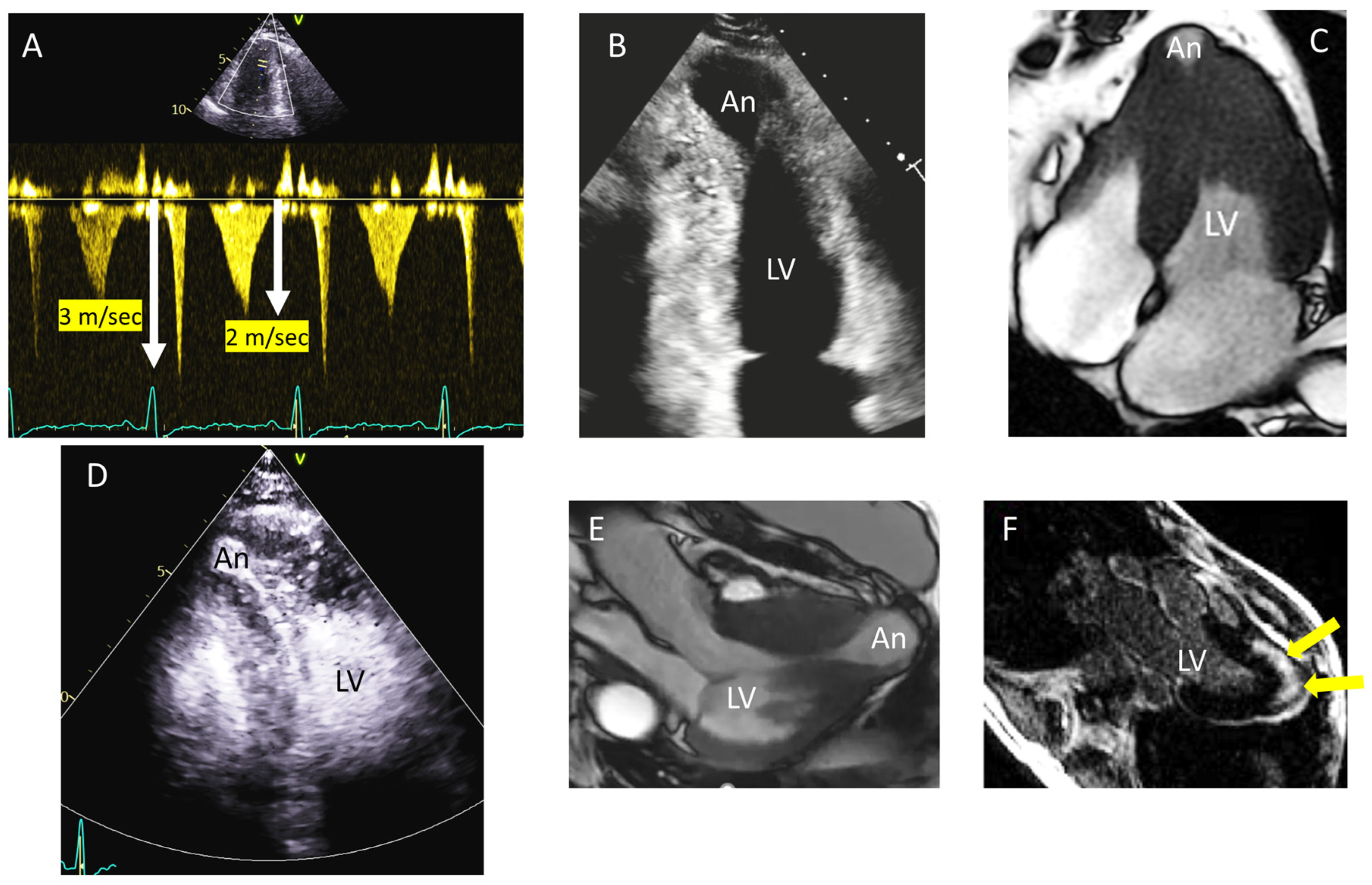 Diagnostics 15 02688 g002