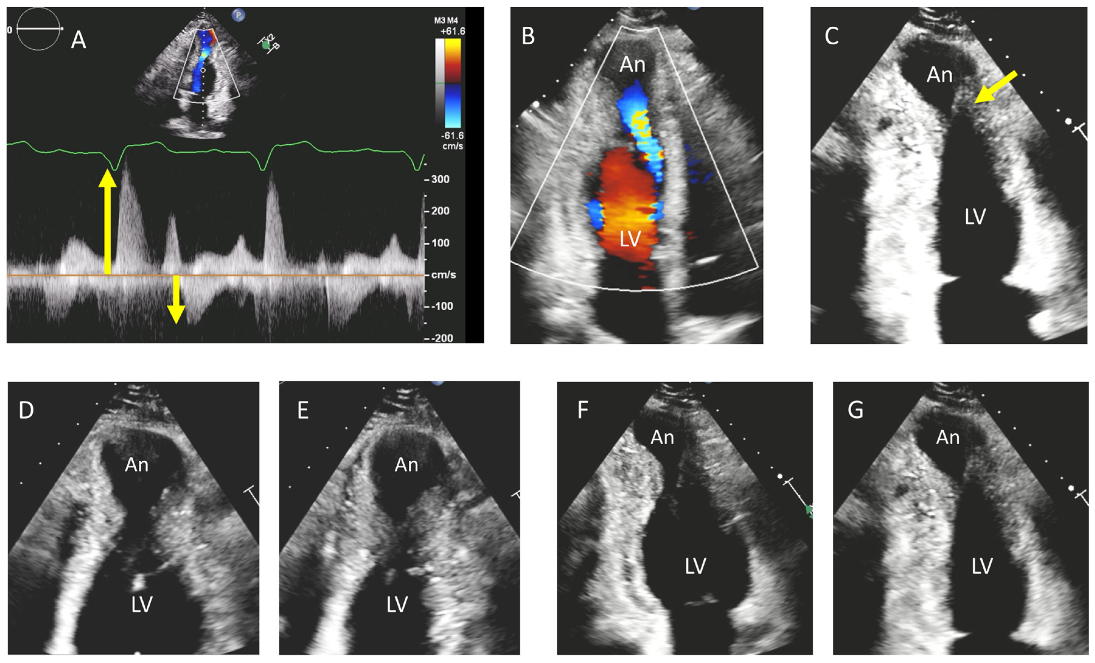 Diagnostics 15 02688 g003