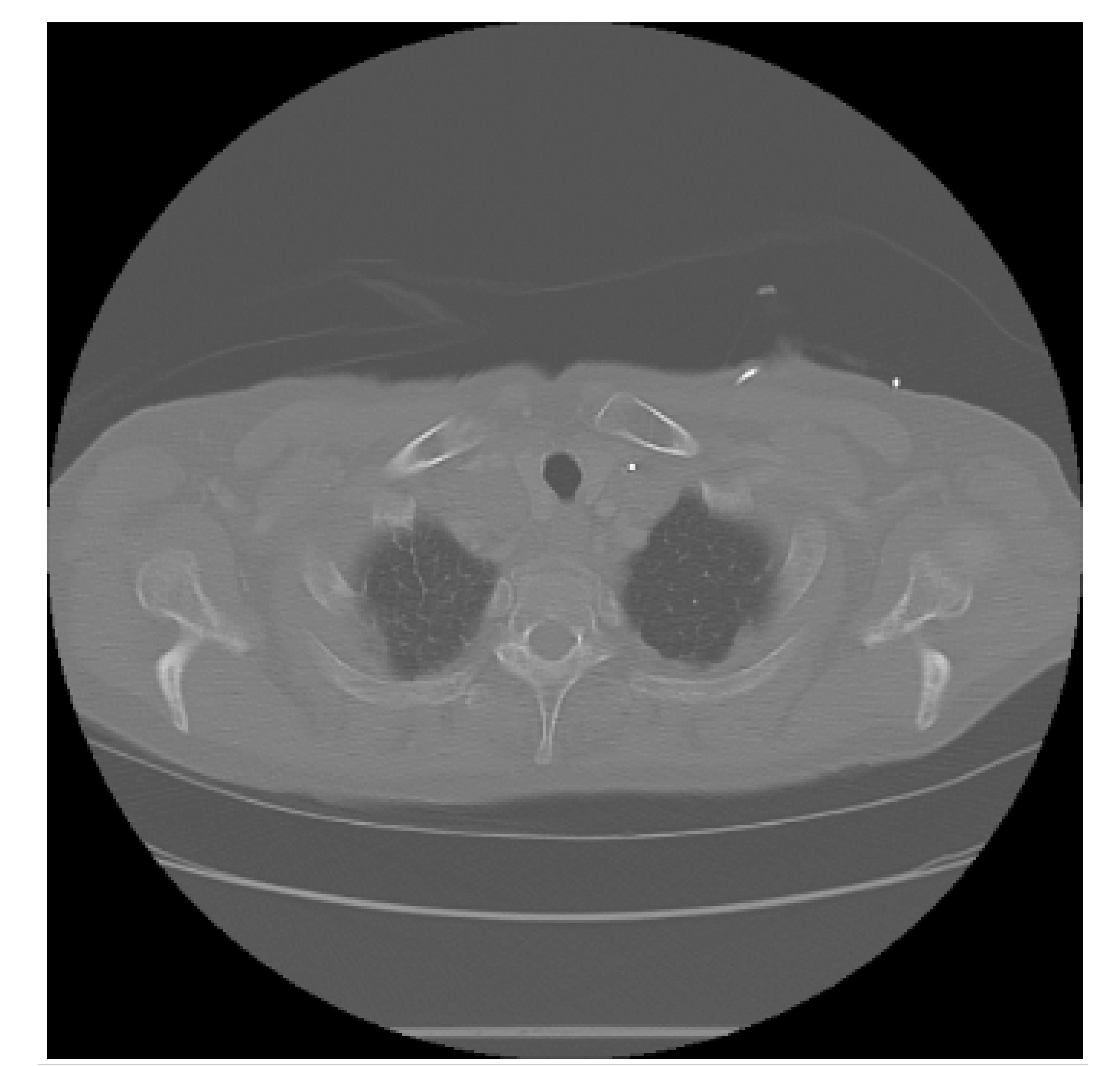 Diagnostics 15 02691 i001