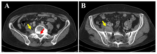 Diagnostics 15 02697 g001