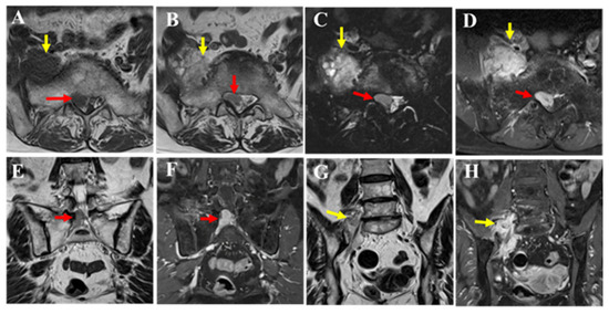 Diagnostics 15 02697 g002