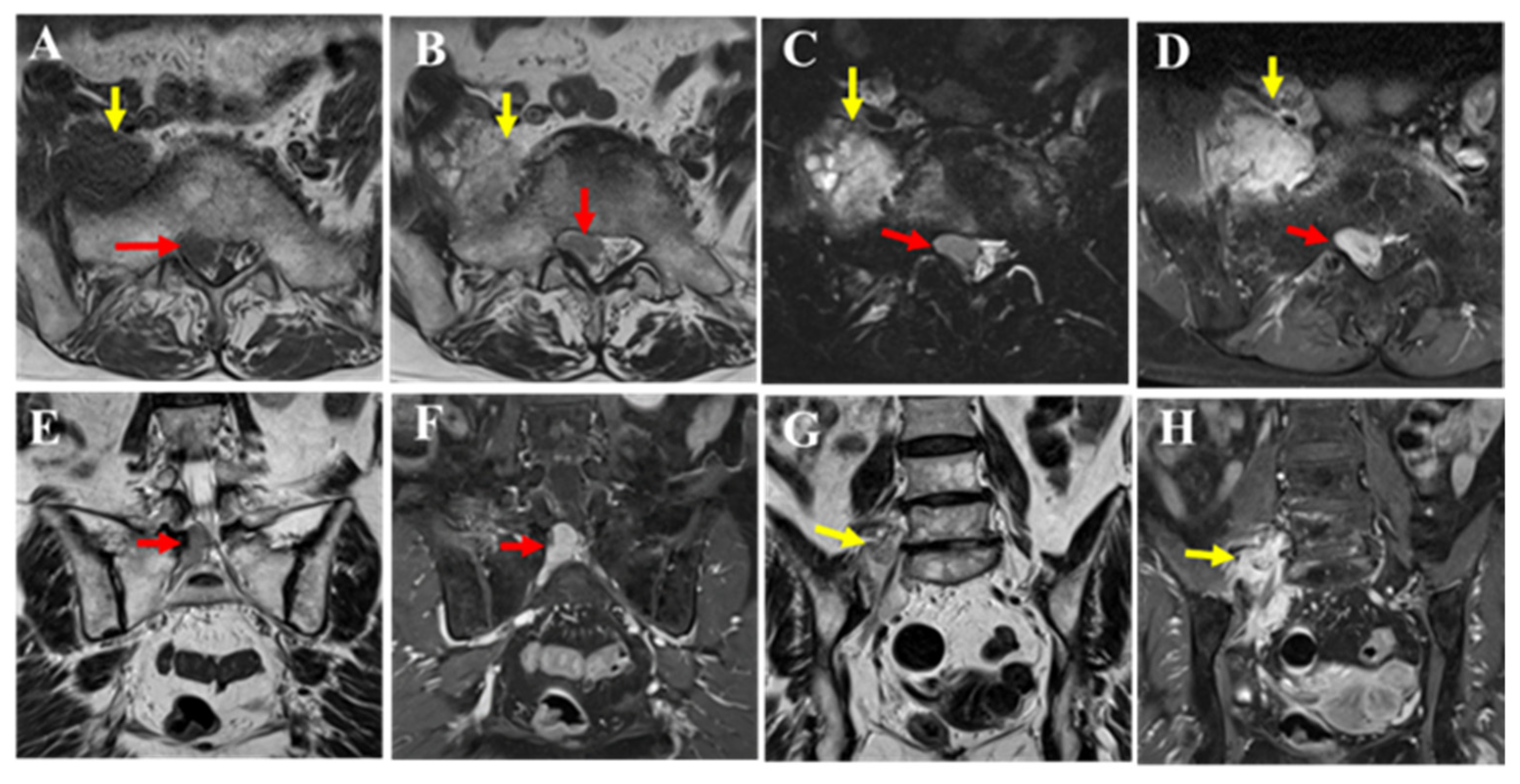 Diagnostics 15 02697 g002
