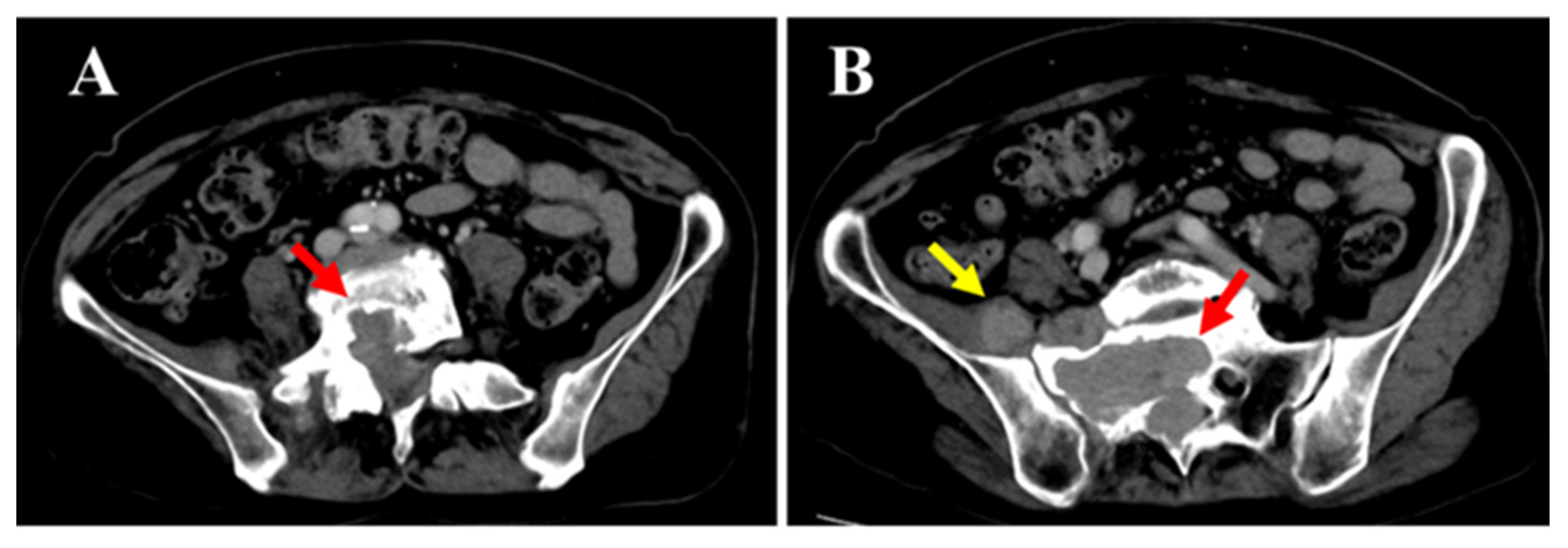 Diagnostics 15 02697 g003
