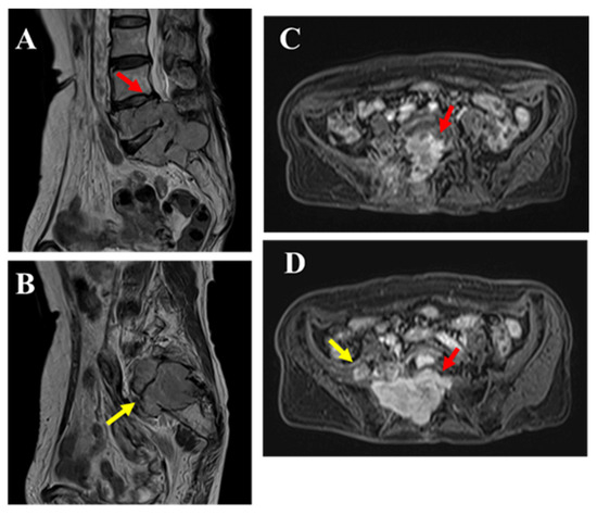 Diagnostics 15 02697 g004