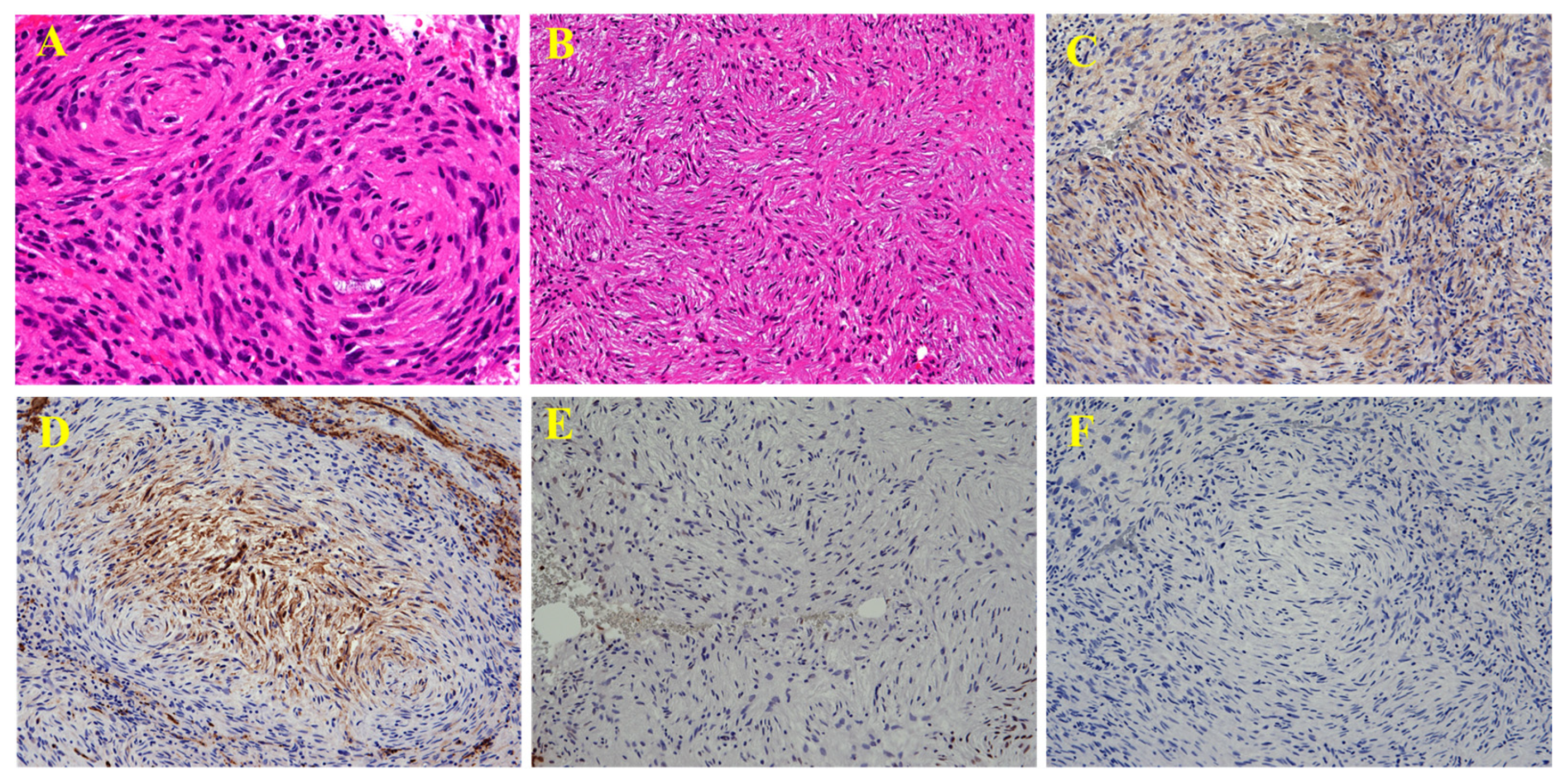 Diagnostics 15 02697 g005