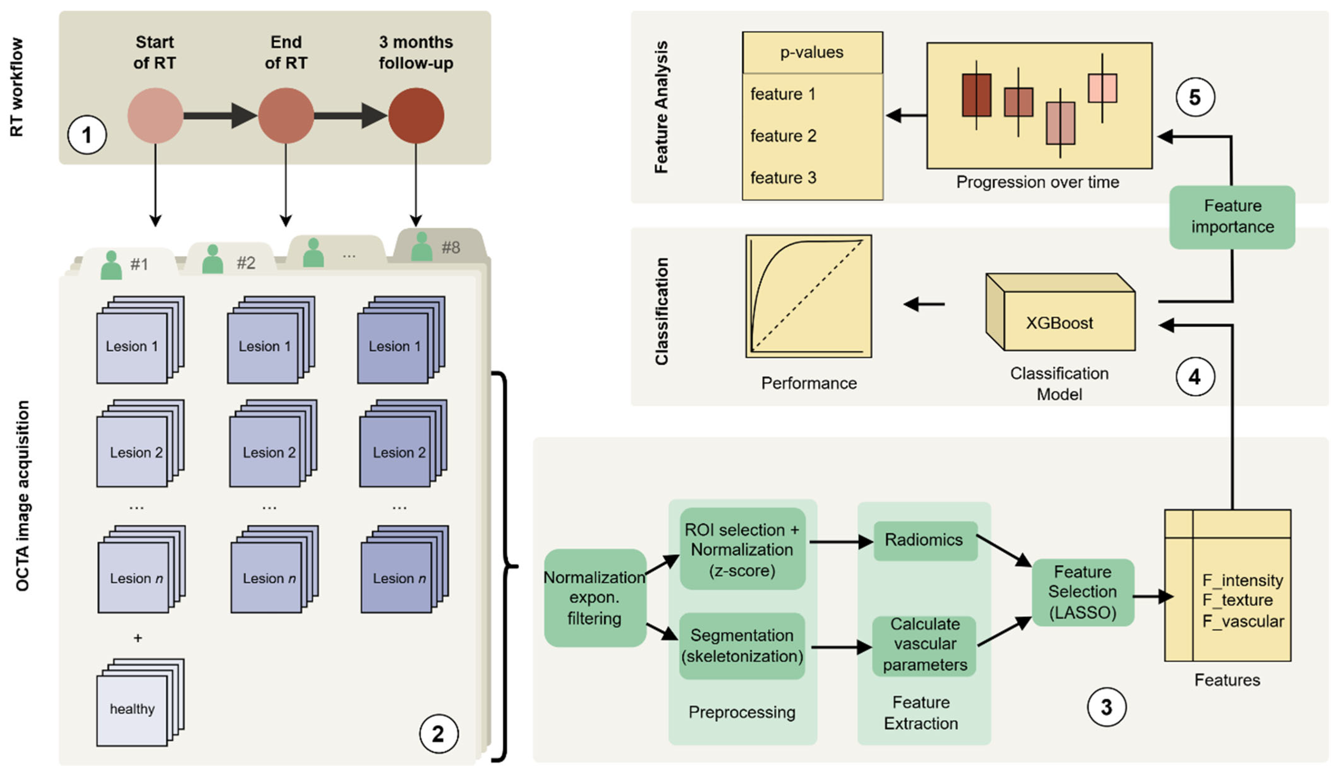 Diagnostics 15 02698 g001