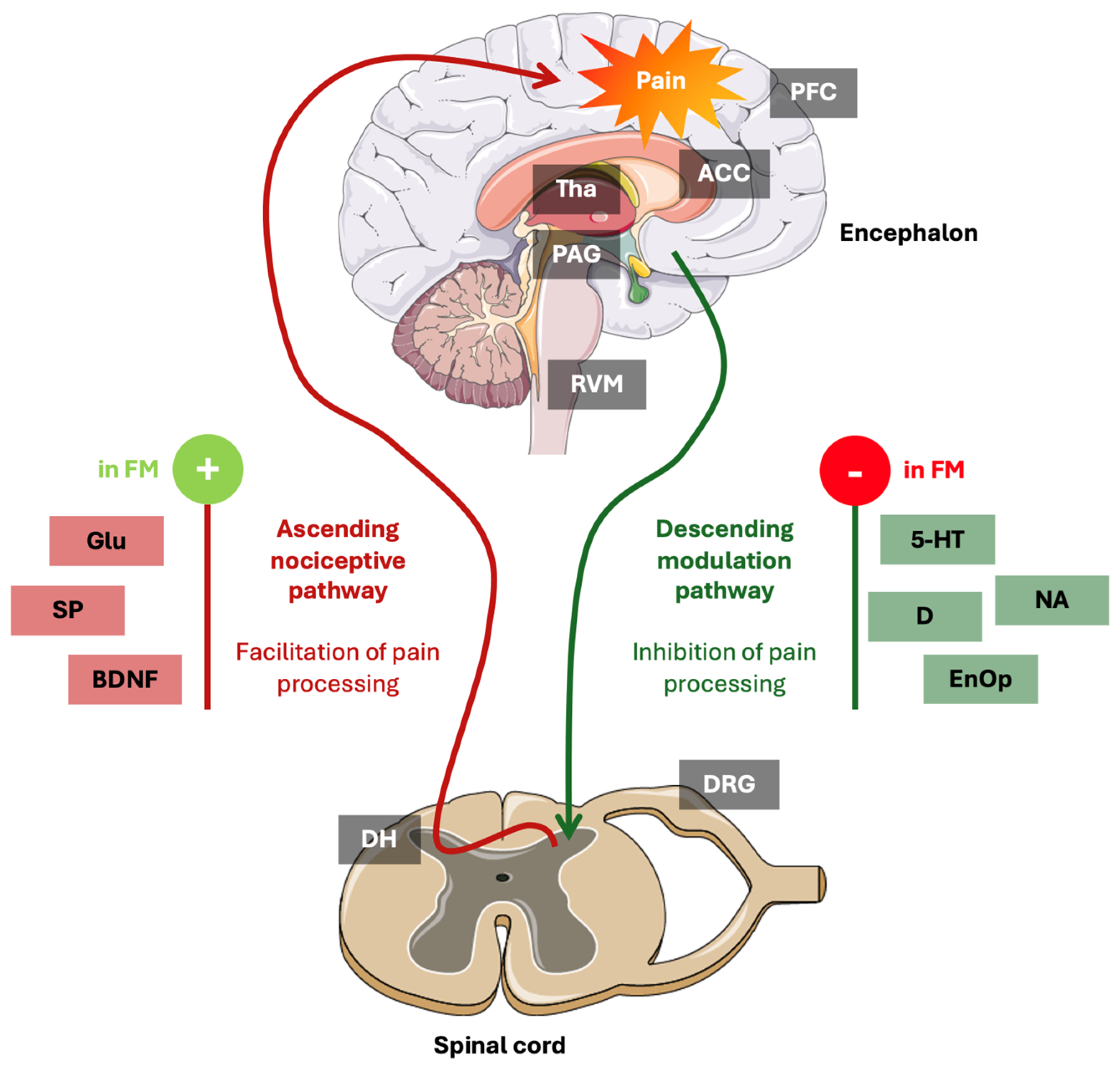 Diagnostics 15 02702 g002