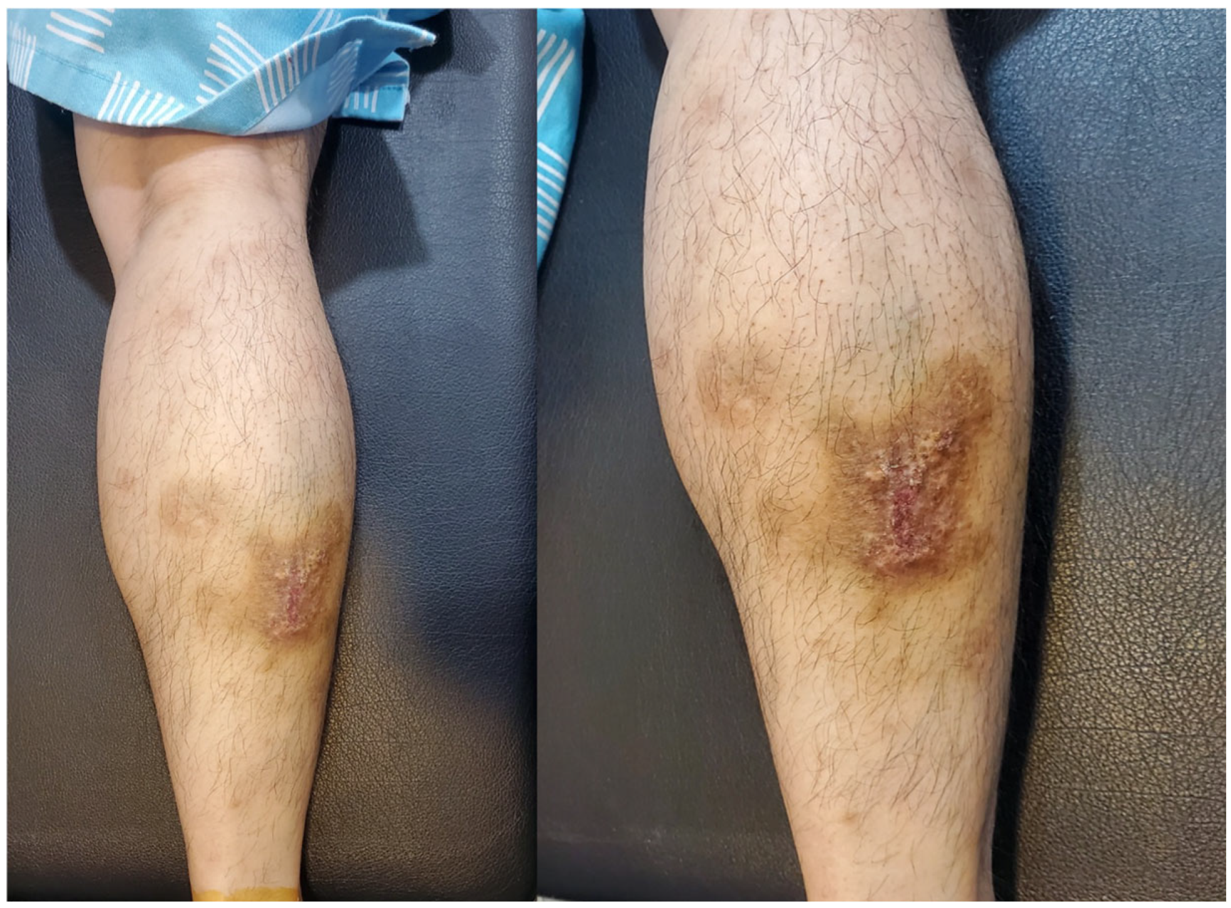 Diagnostics 15 02706 g001