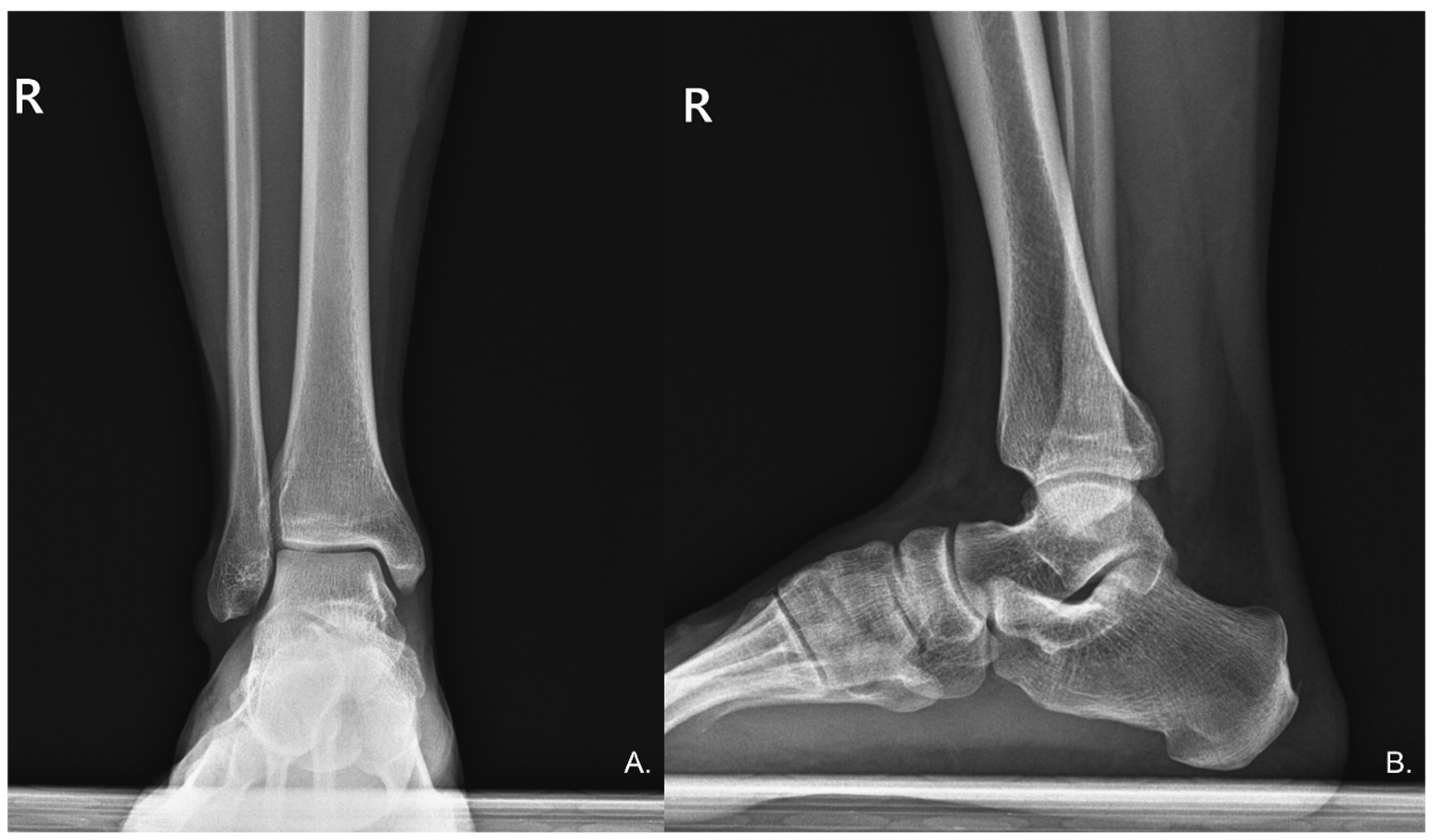 Diagnostics 15 02706 g002