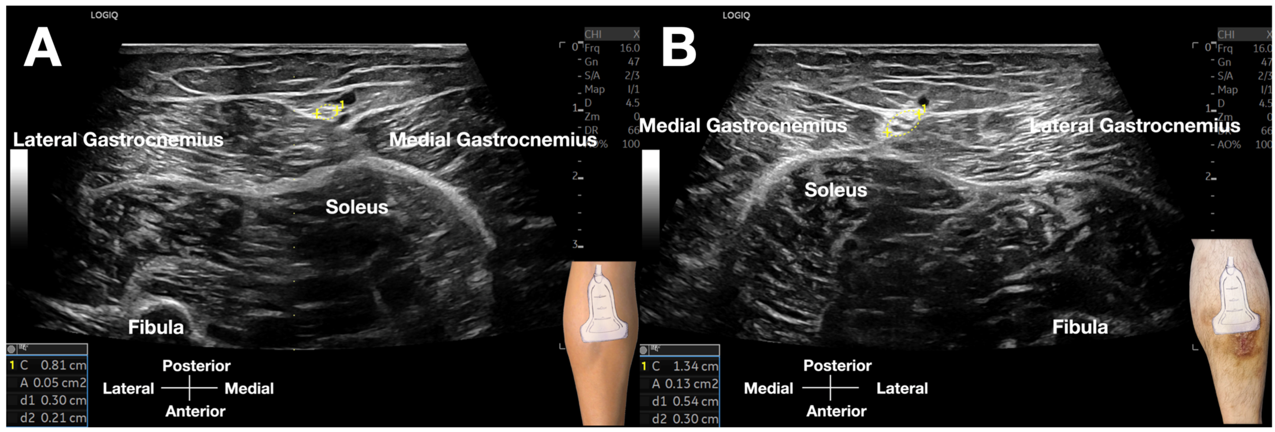 Diagnostics 15 02706 g004