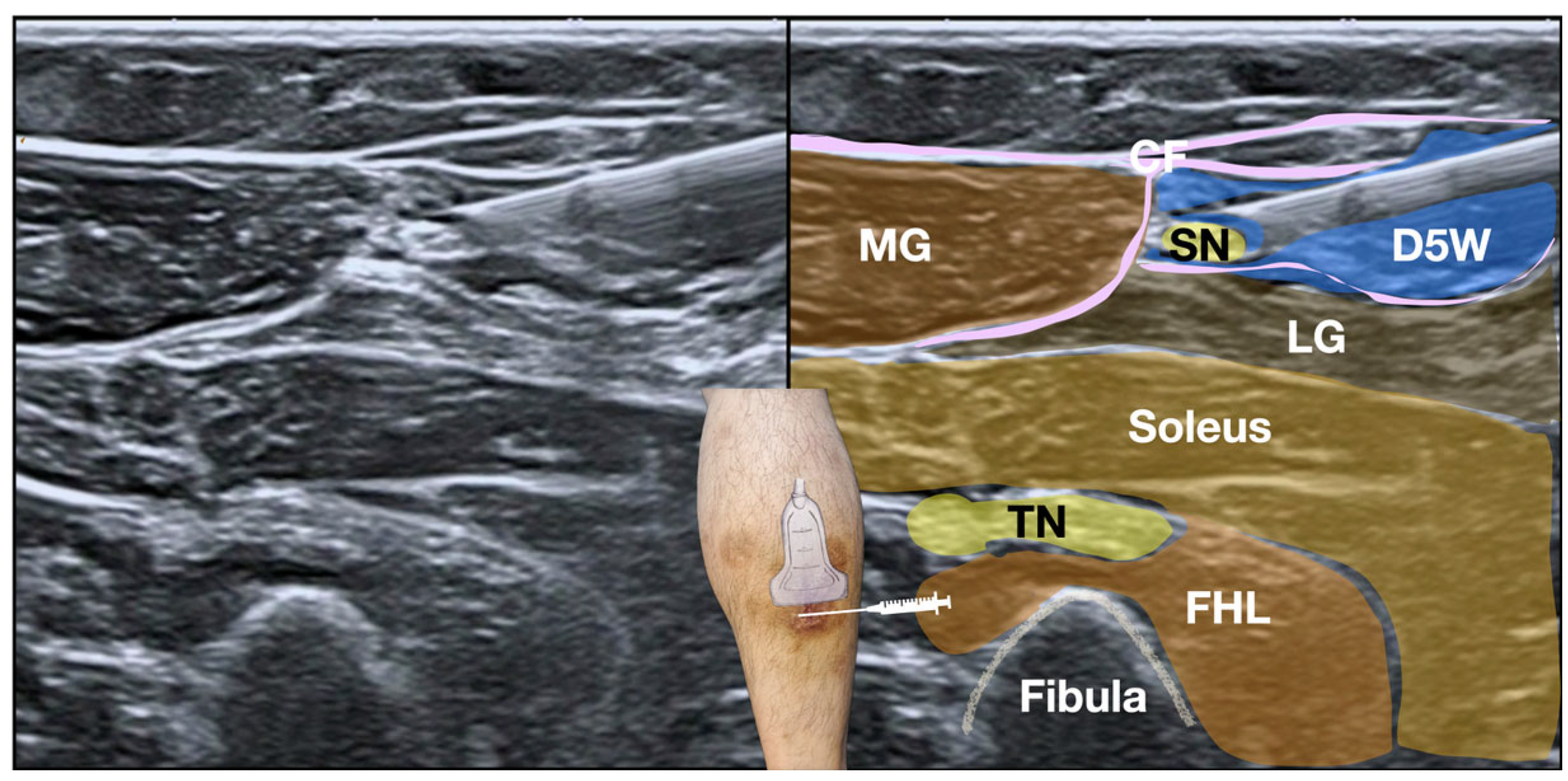 Diagnostics 15 02706 g005