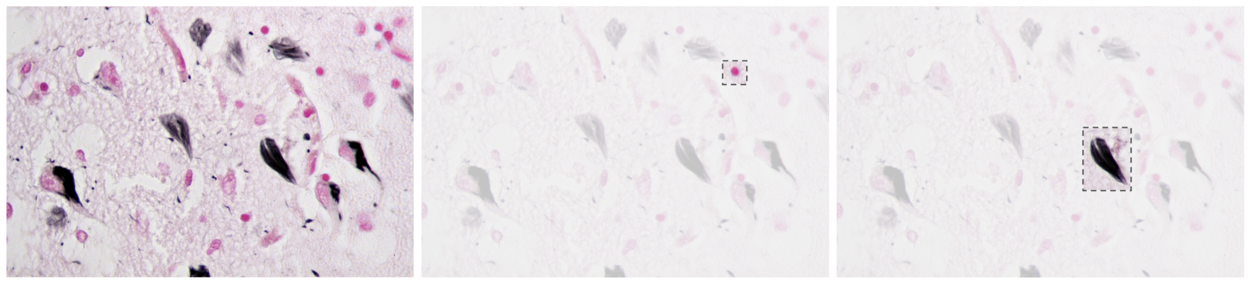 Diagnostics 15 02709 g001