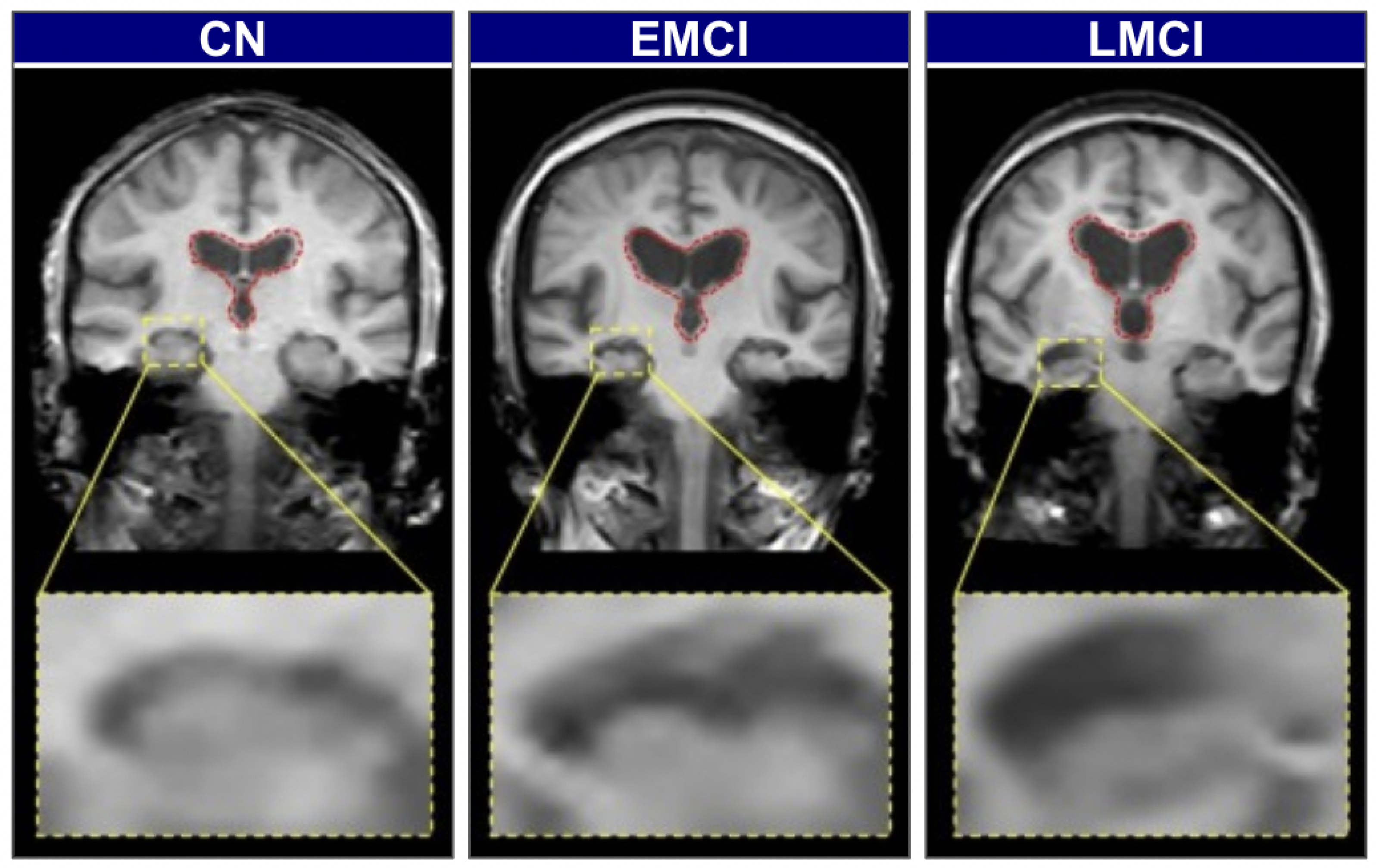Diagnostics 15 02709 g002