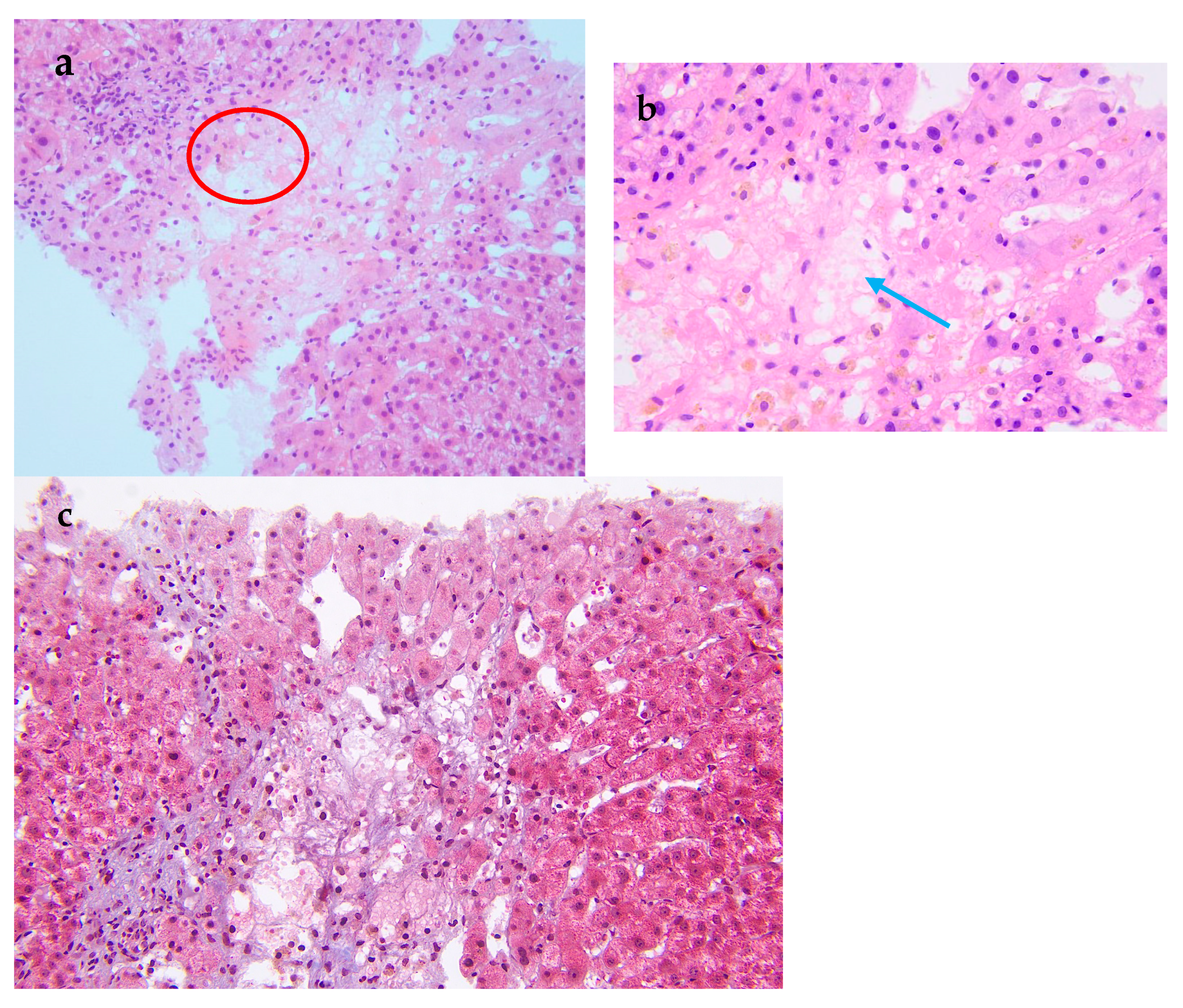 Diagnostics 15 02712 g002 Diagnostics 15 02712 g002