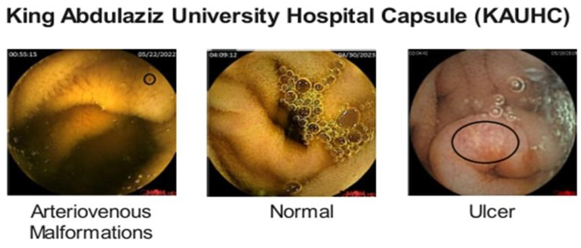 Diagnostics 15 02714 g001 Diagnostics 15 02714 g001