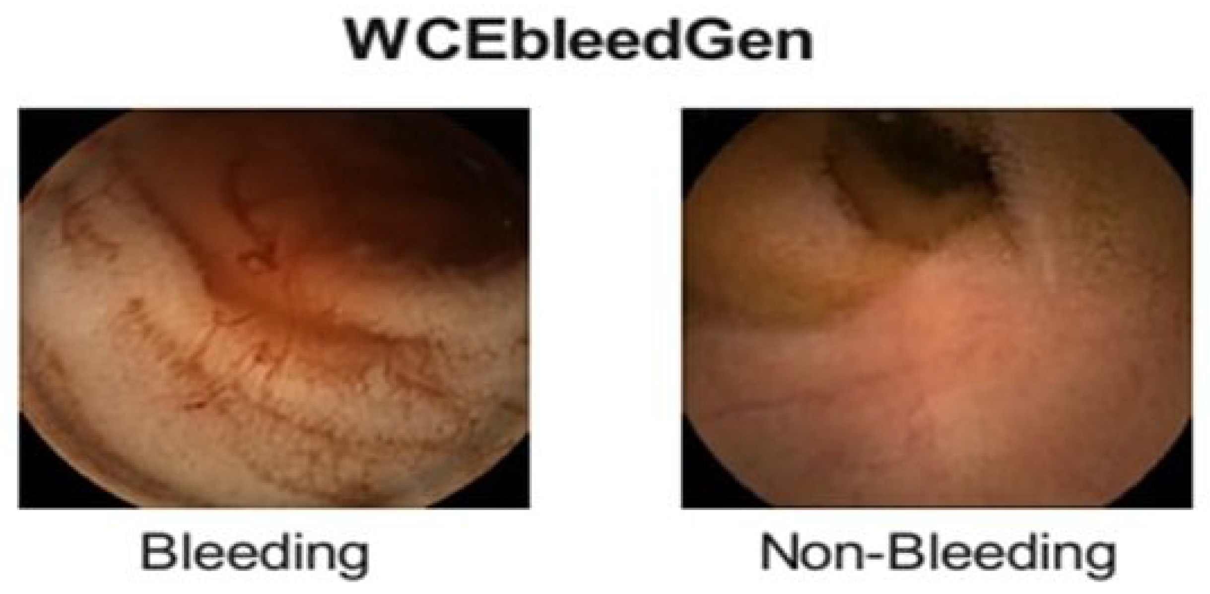 Diagnostics 15 02714 g002 Diagnostics 15 02714 g002