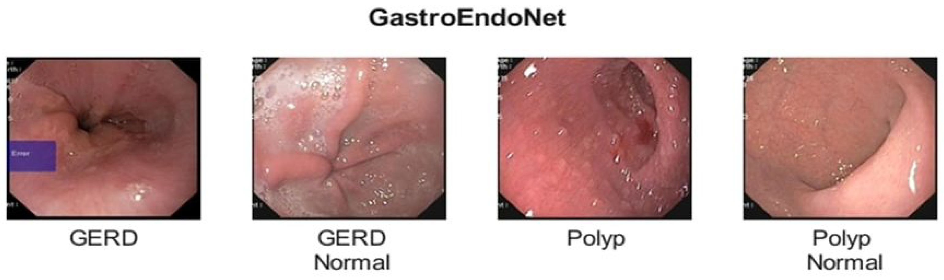 Diagnostics 15 02714 g003 Diagnostics 15 02714 g003