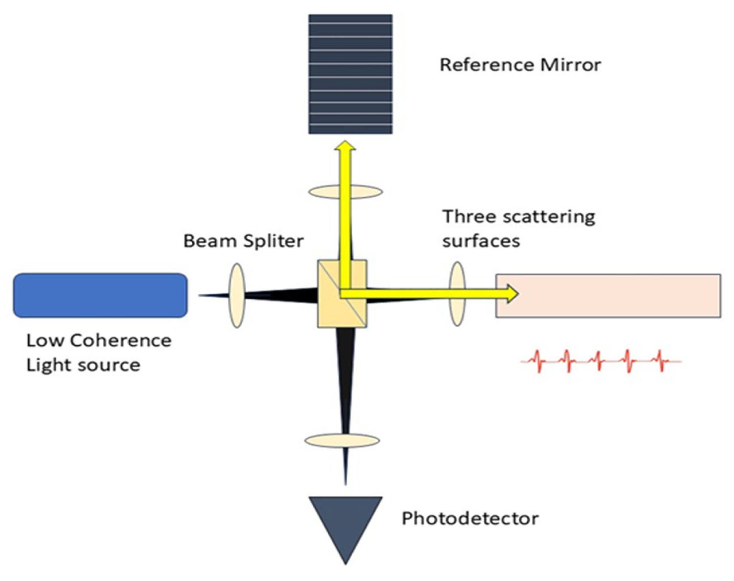 Diagnostics 15 02718 g002 Diagnostics 15 02718 g002