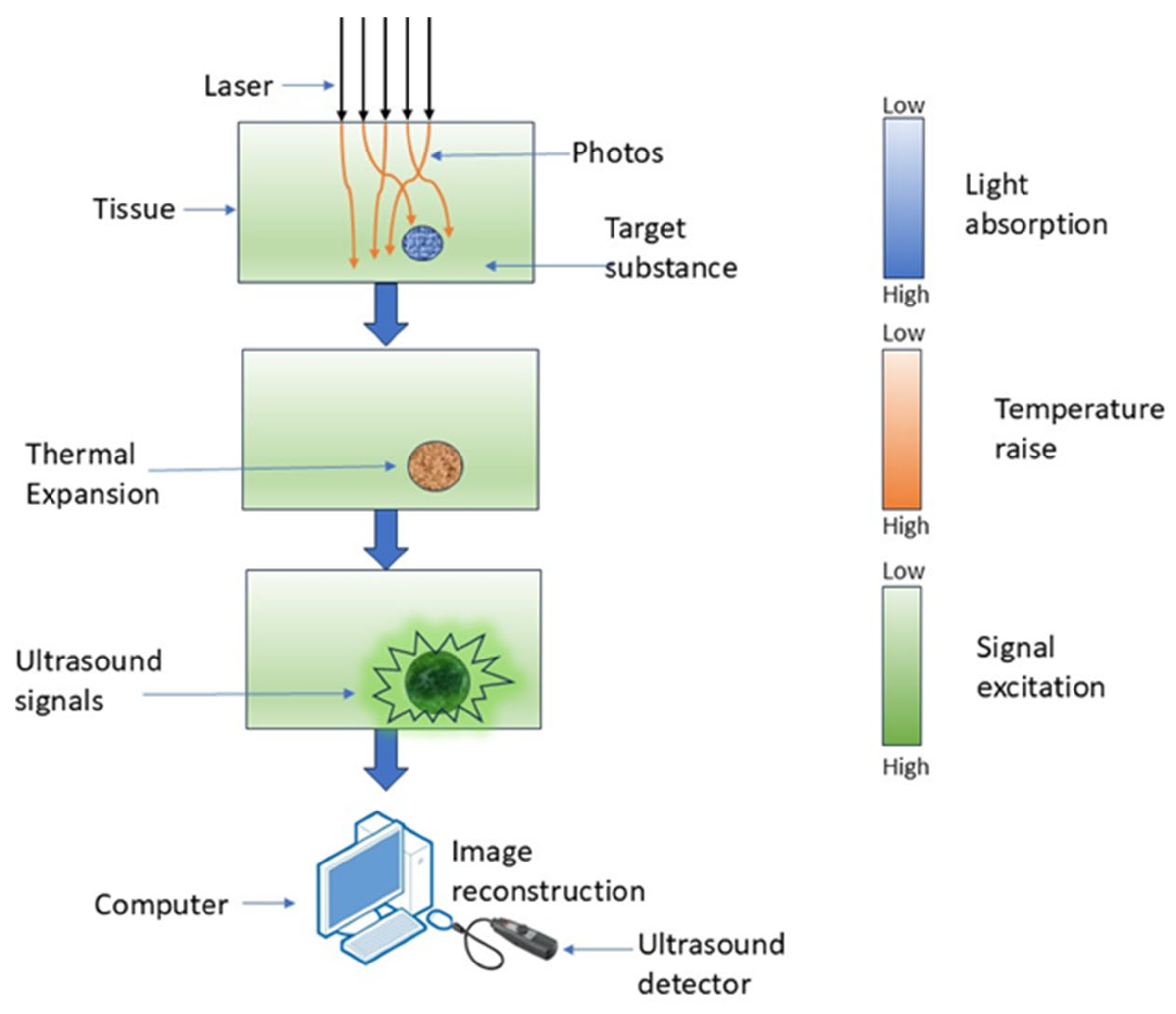 Diagnostics 15 02718 g004 Diagnostics 15 02718 g004