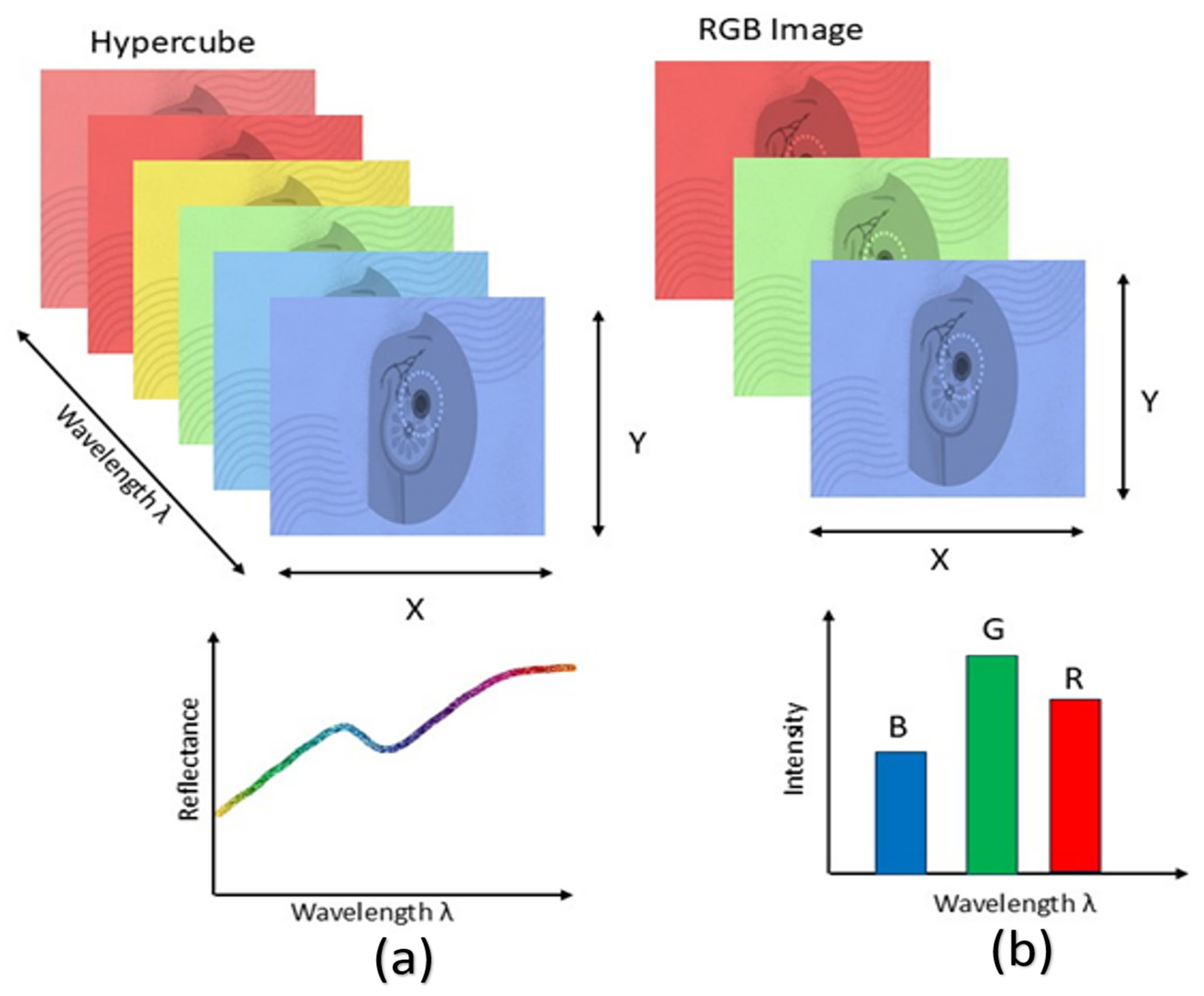 Diagnostics 15 02718 g005 Diagnostics 15 02718 g005