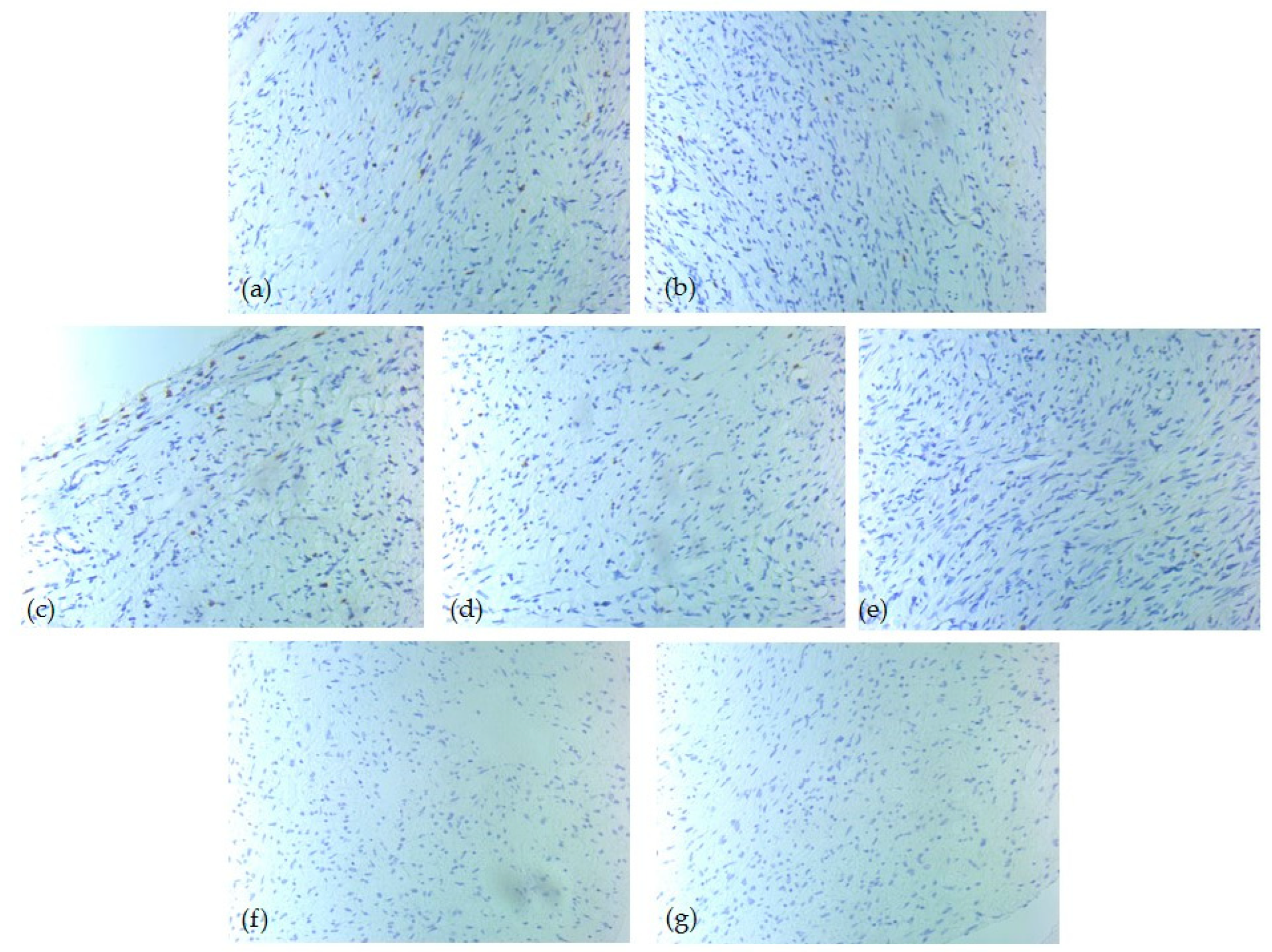 Diagnostics 15 02721 g003