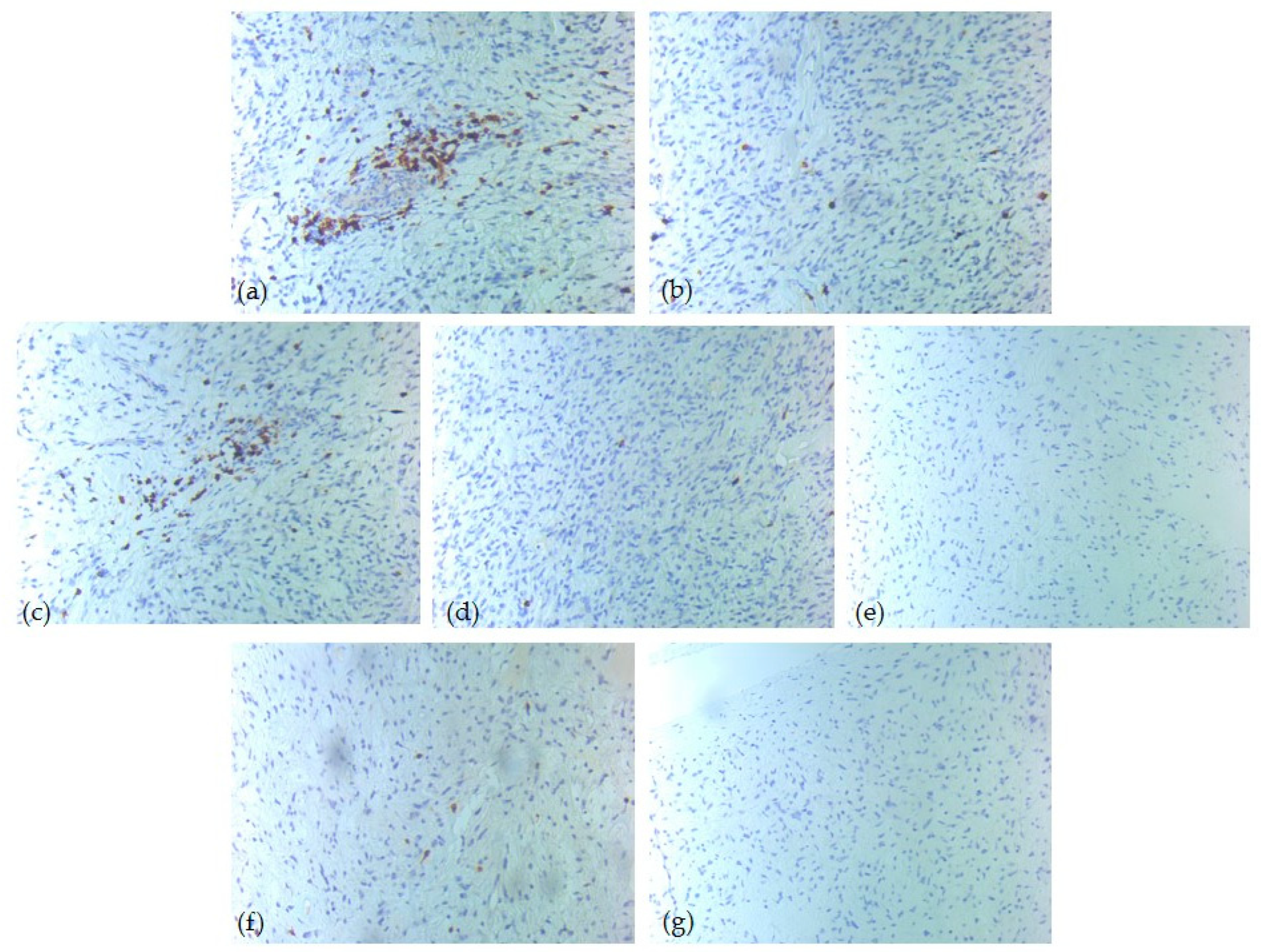 Diagnostics 15 02721 g004