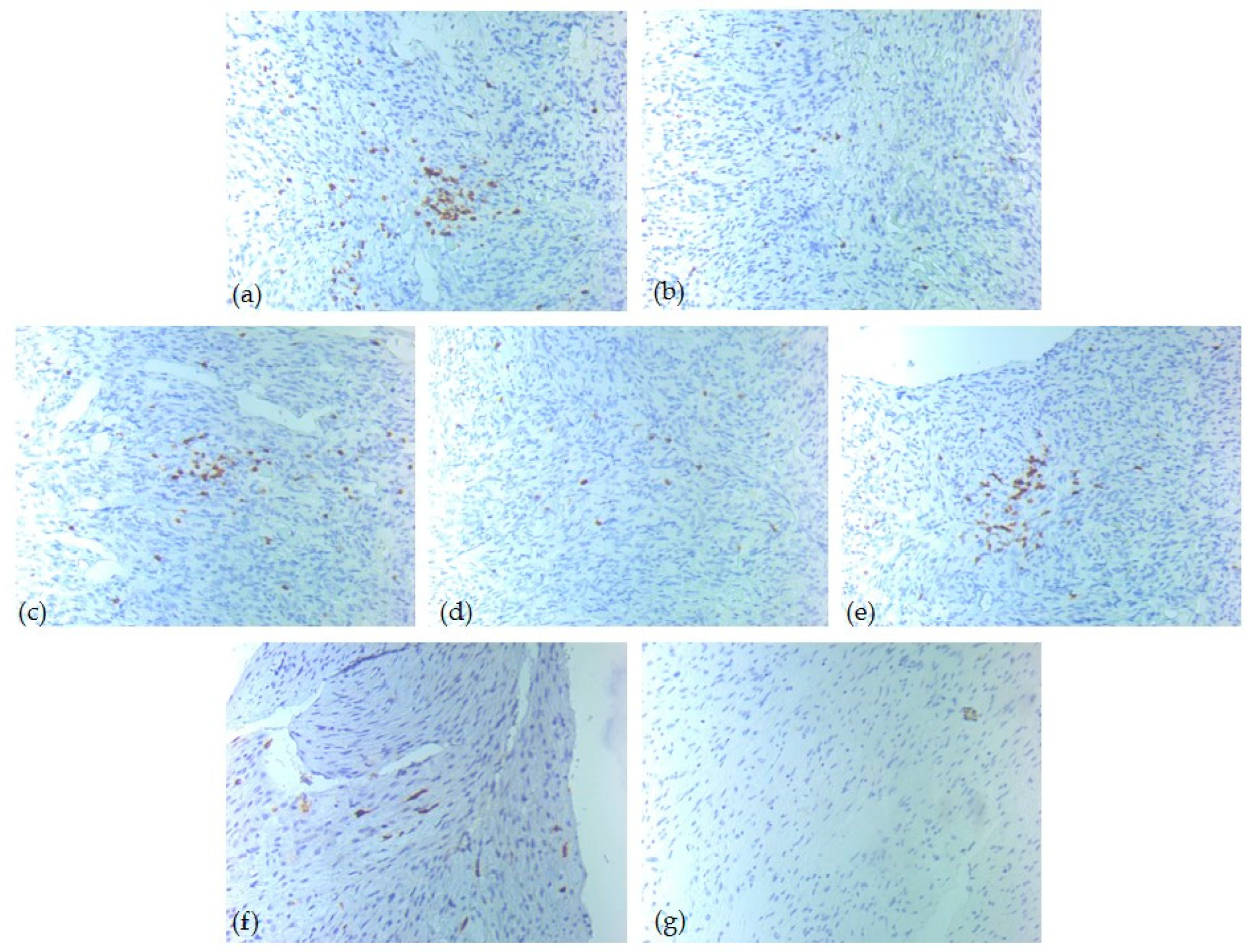 Diagnostics 15 02721 g005