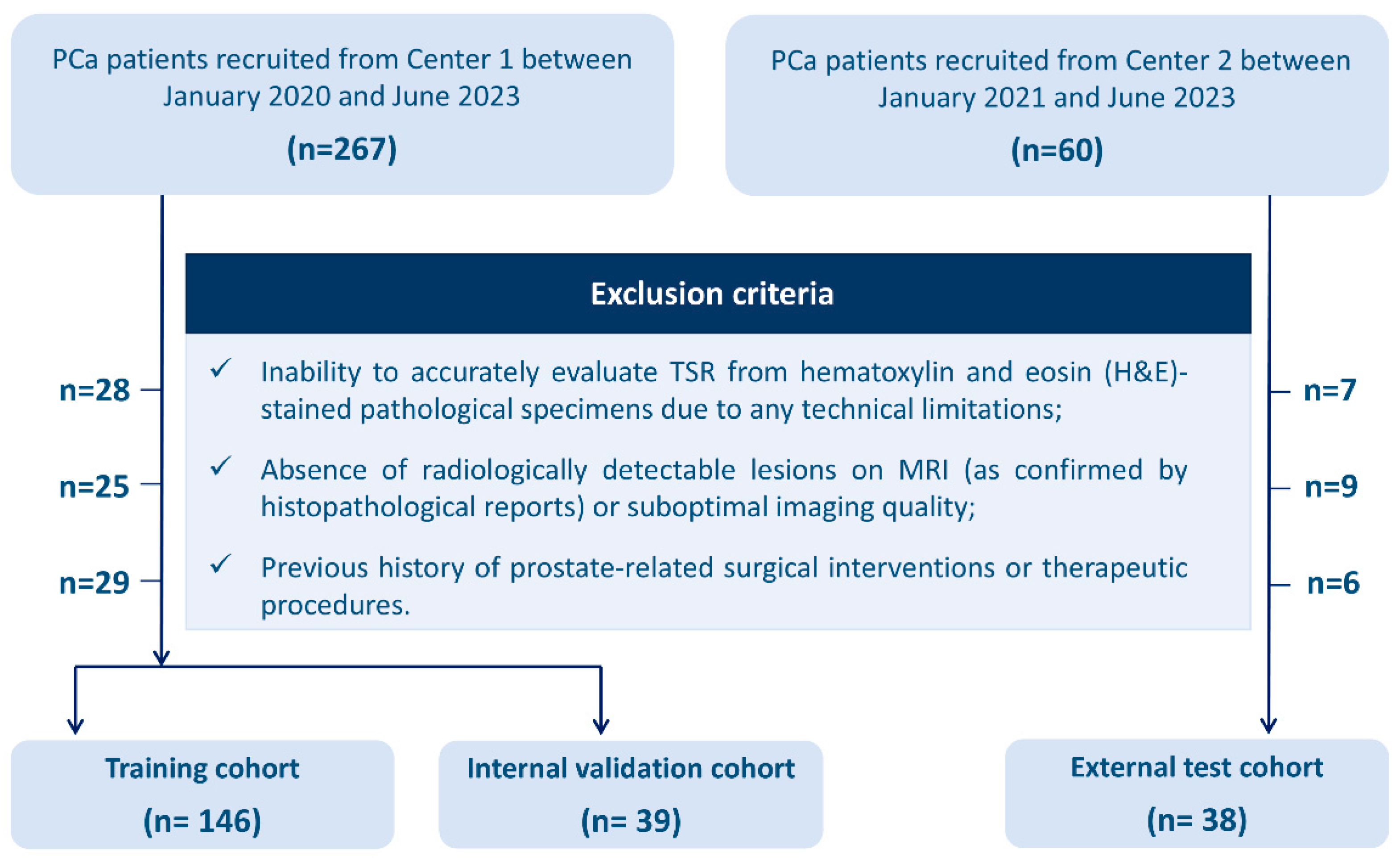 Diagnostics 15 02722 g001