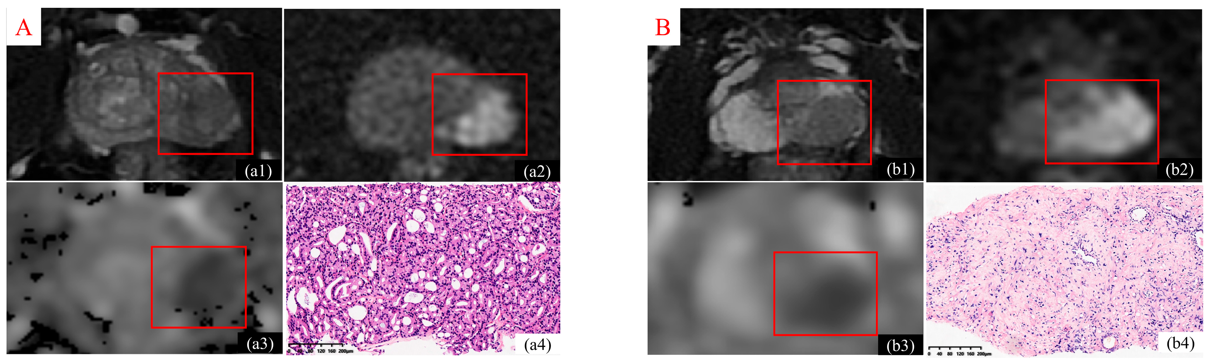 Diagnostics 15 02722 g002