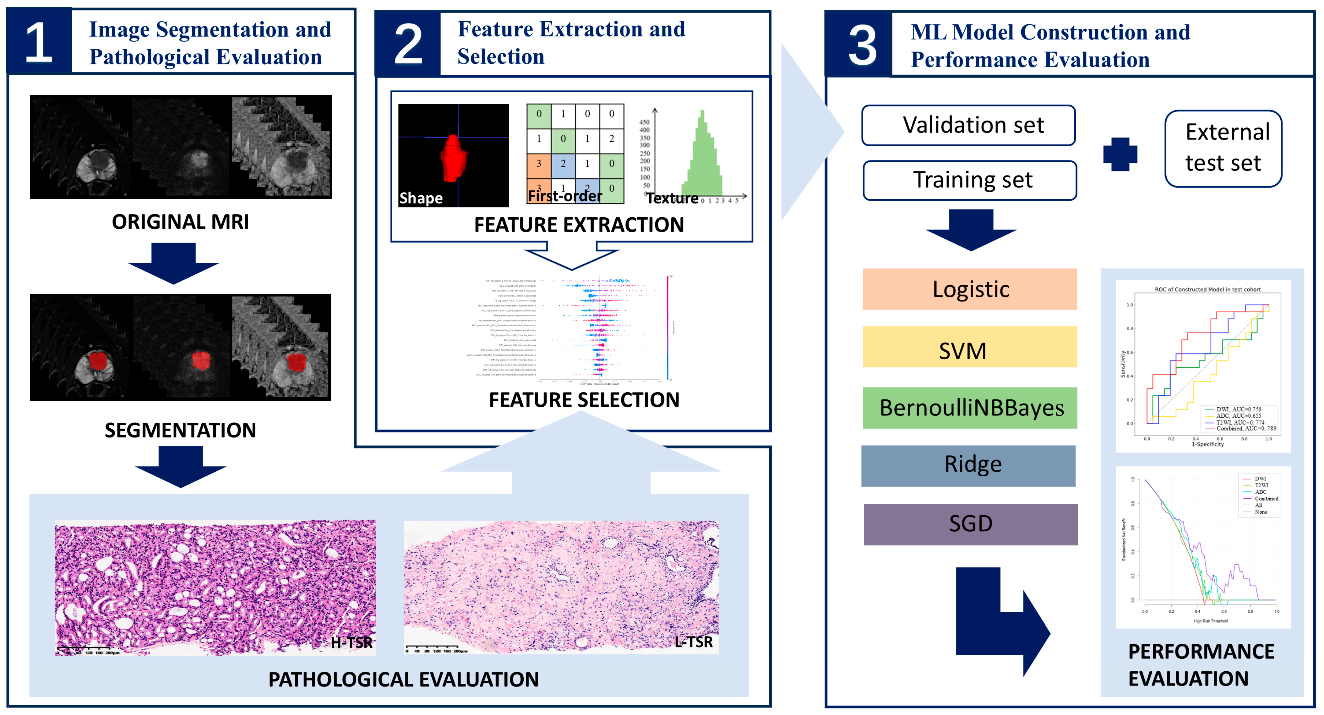 Diagnostics 15 02722 g003