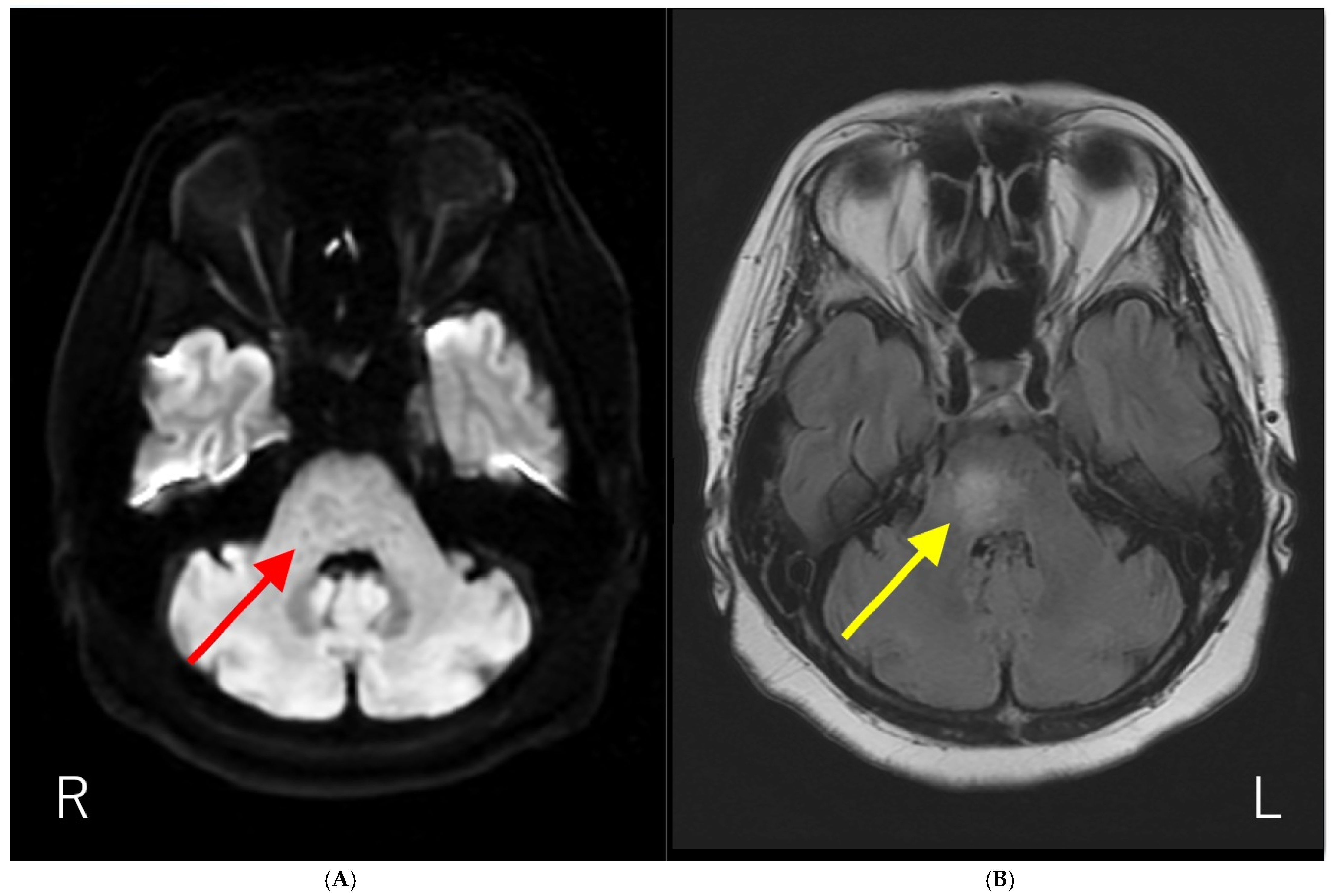 Diagnostics 15 02723 g001