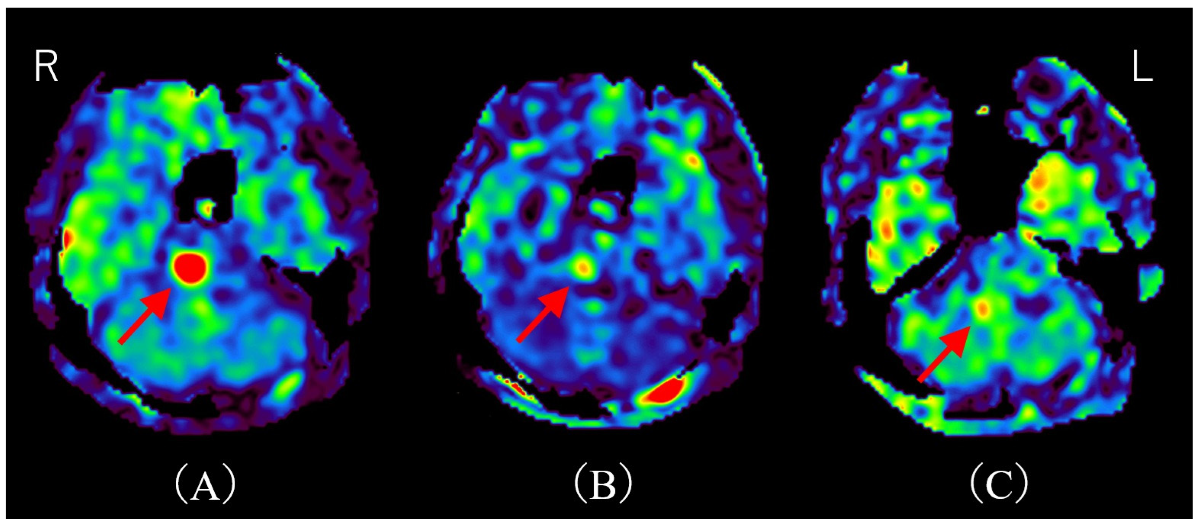 Diagnostics 15 02723 g002