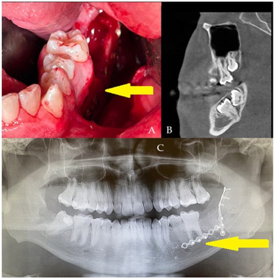 Diagnostics 15 02724 g002