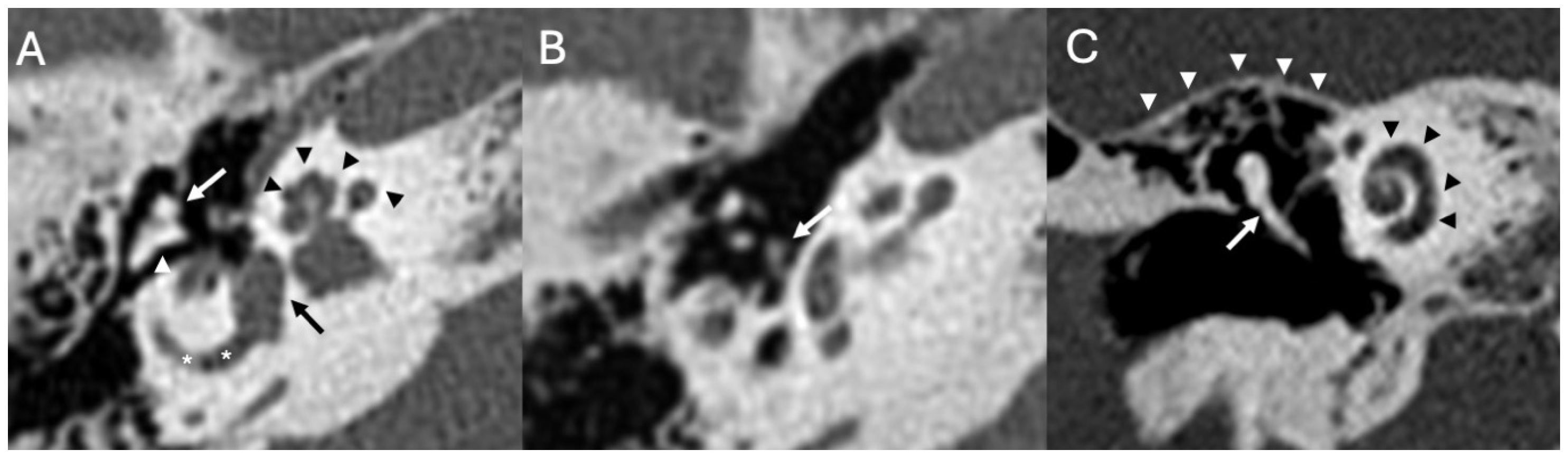 Diagnostics 15 02733 g001