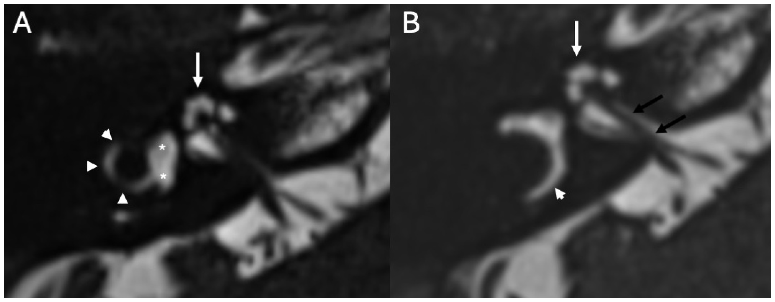 Diagnostics 15 02733 g002
