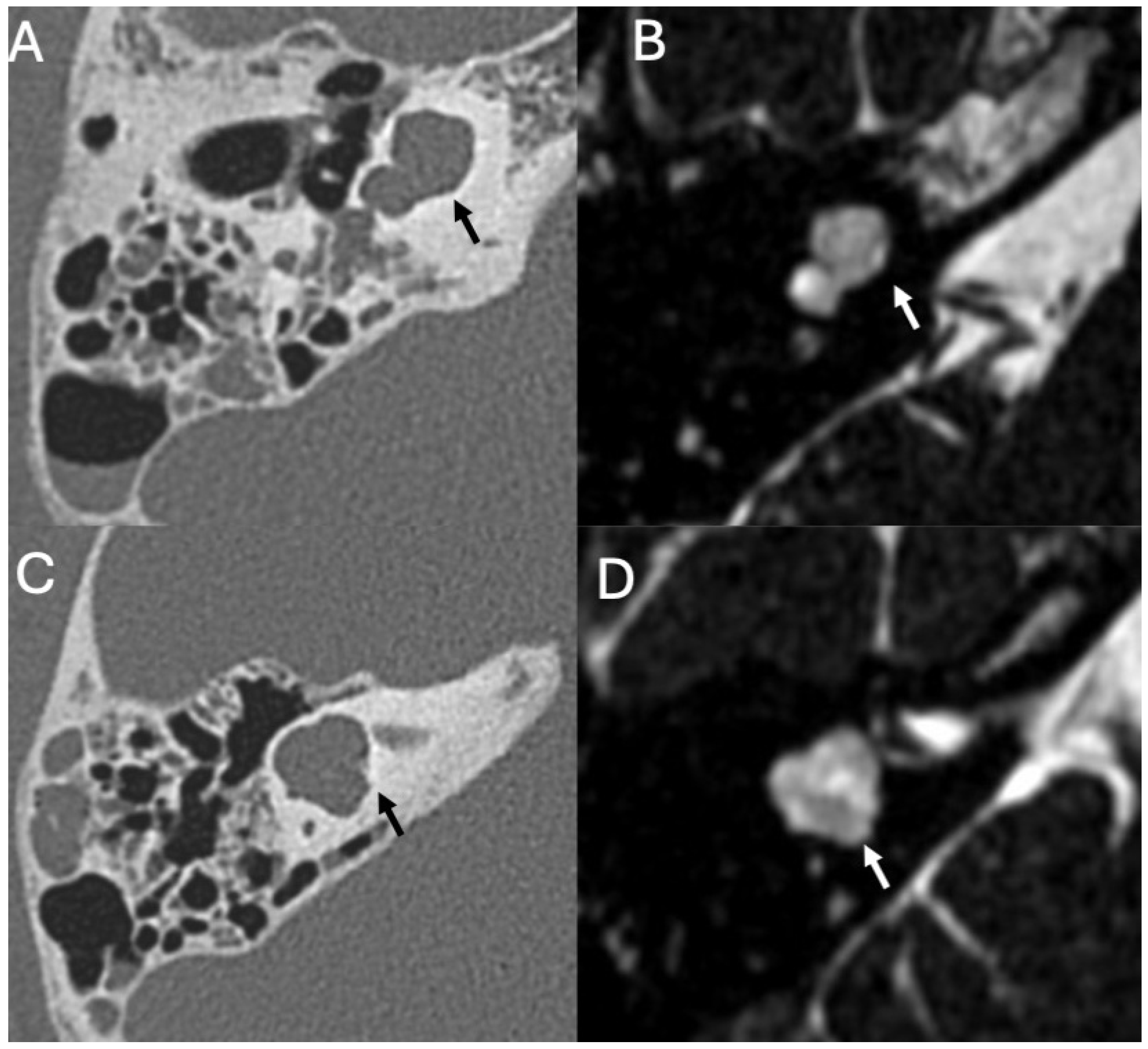 Diagnostics 15 02733 g003