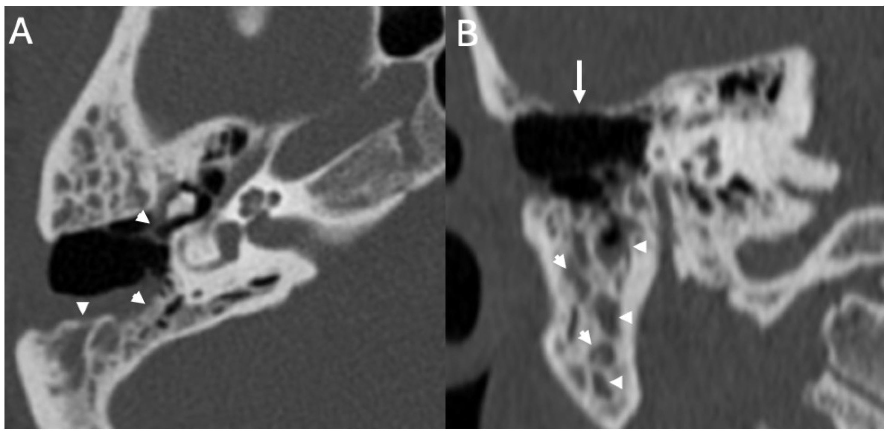 Diagnostics 15 02733 g007