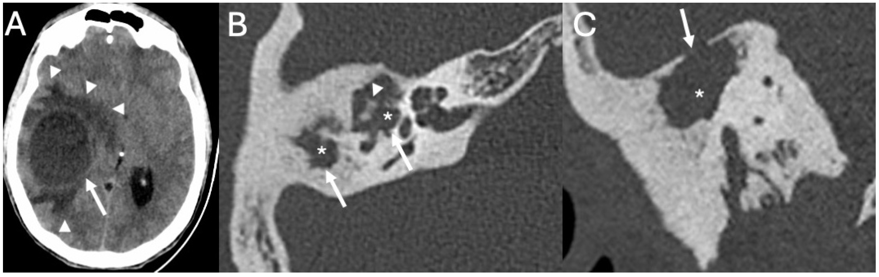 Diagnostics 15 02733 g008