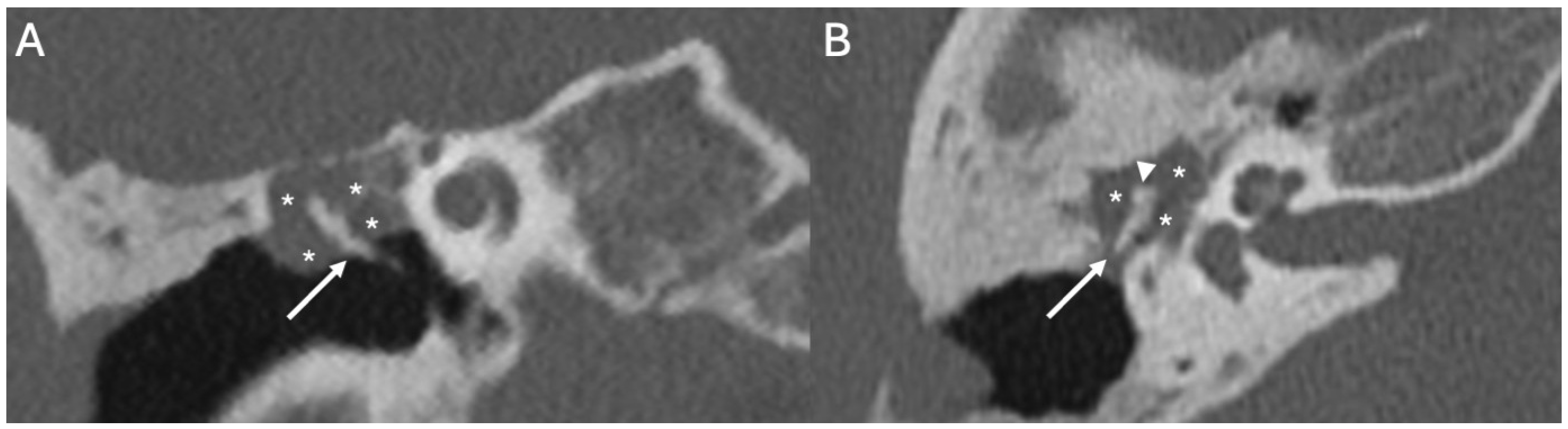 Diagnostics 15 02733 g009