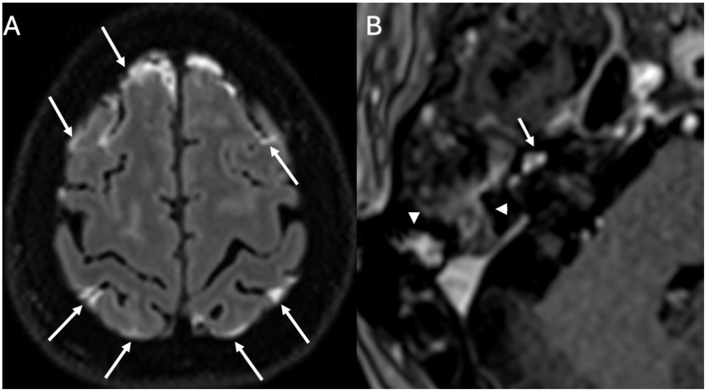Diagnostics 15 02733 g010