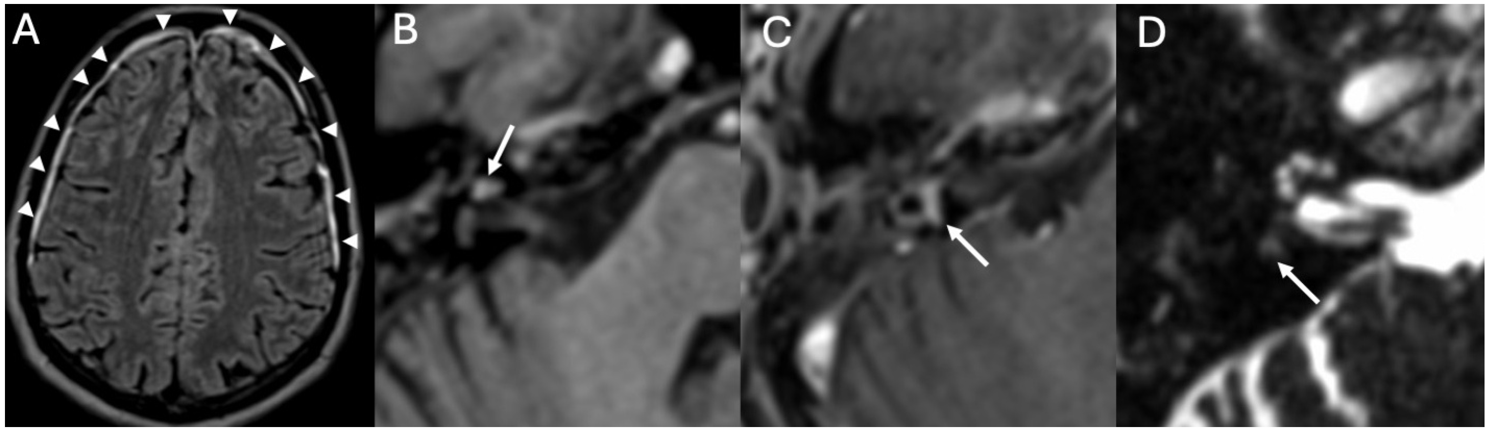 Diagnostics 15 02733 g012
