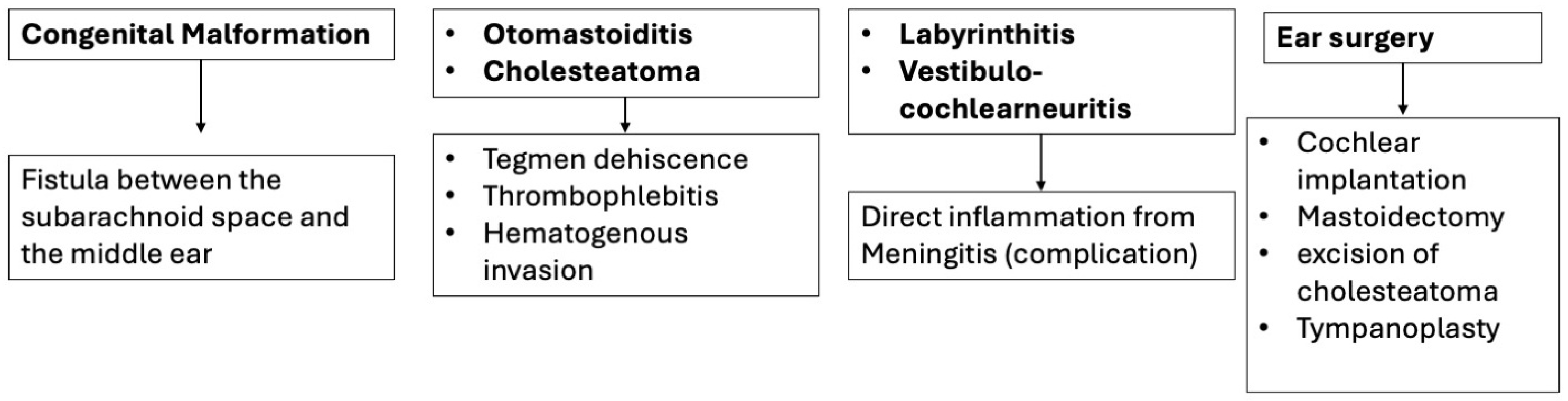 Diagnostics 15 02733 g013