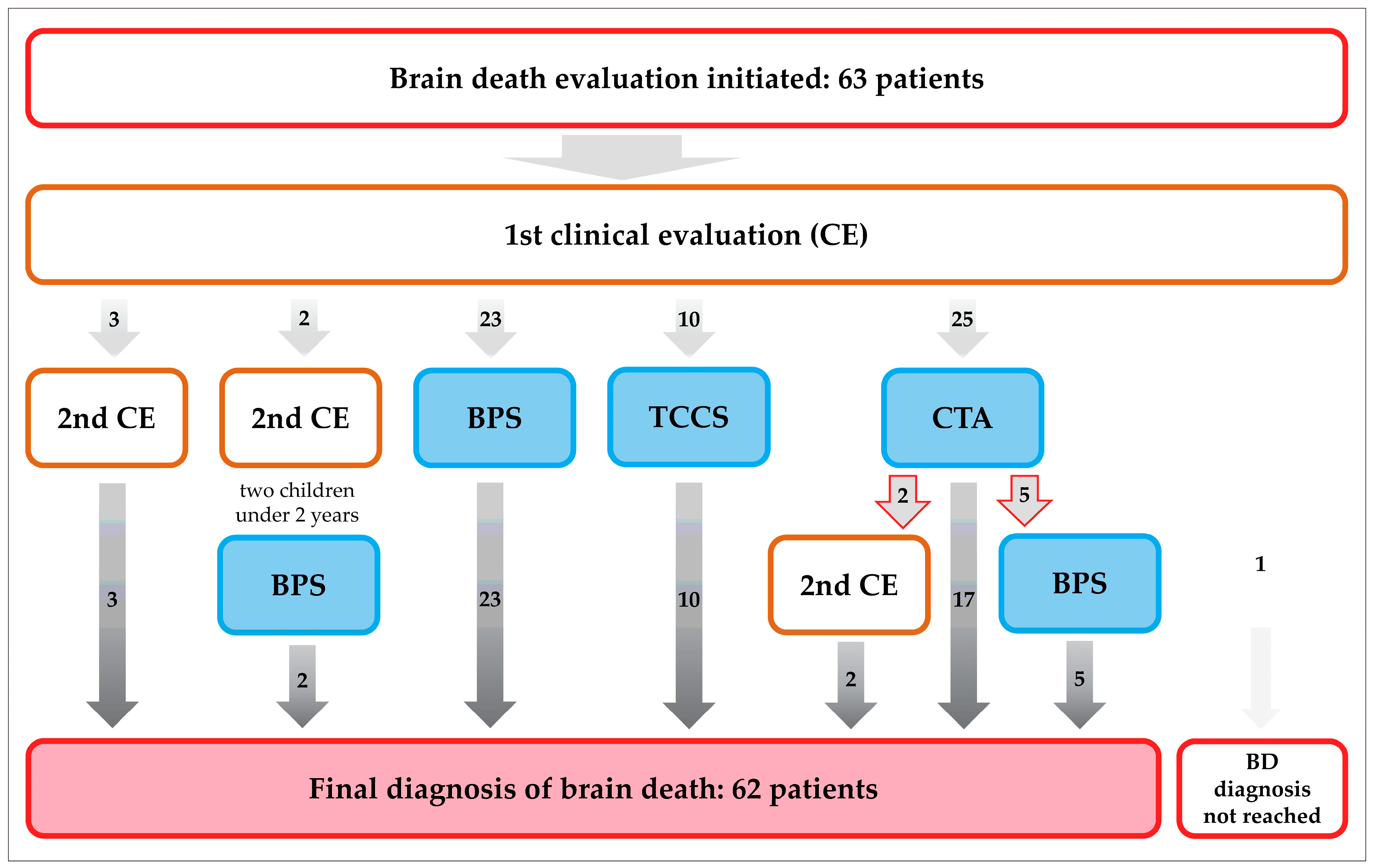 Diagnostics 15 02734 g001