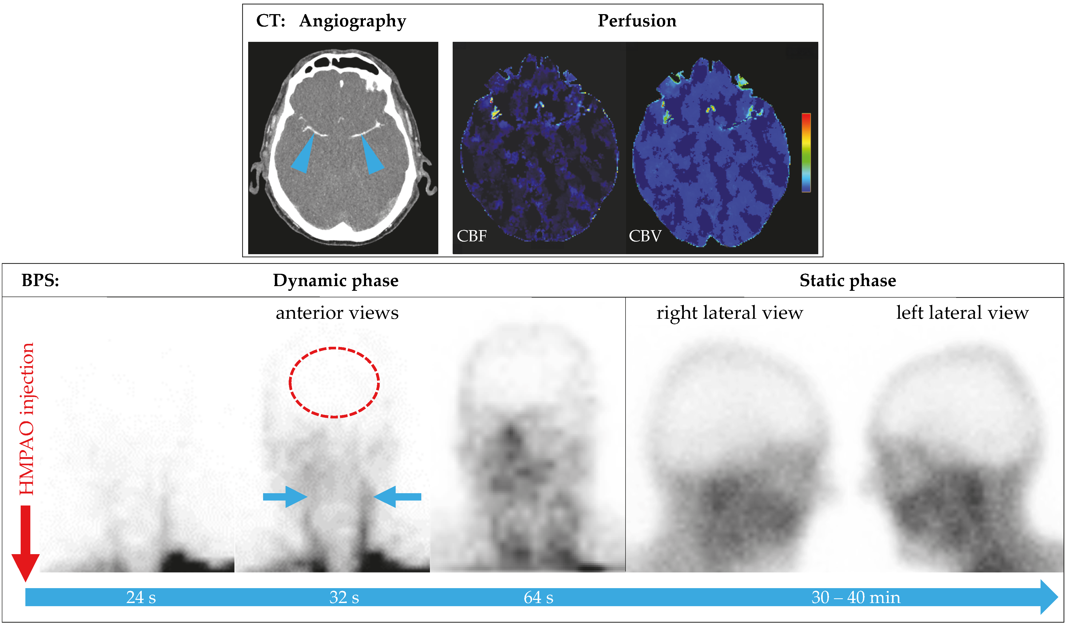 Diagnostics 15 02734 g002